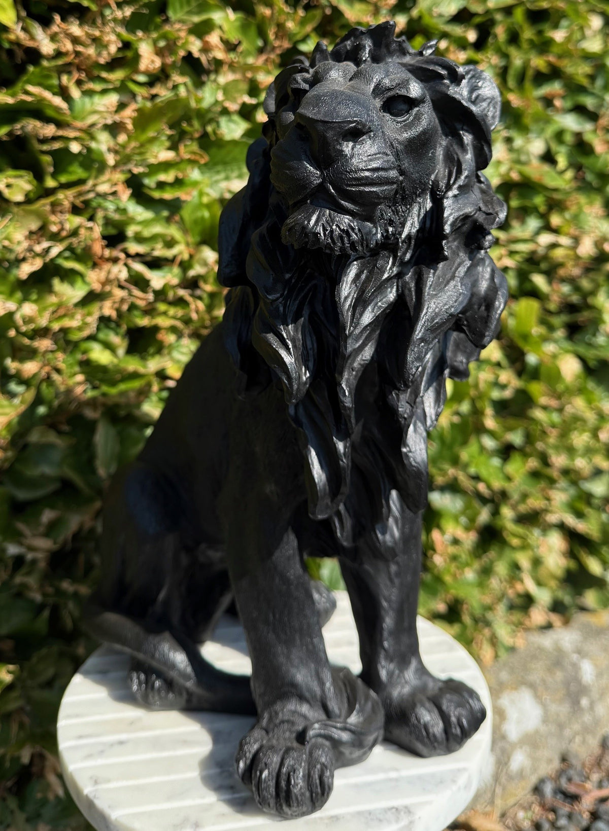 Løve figur 1
