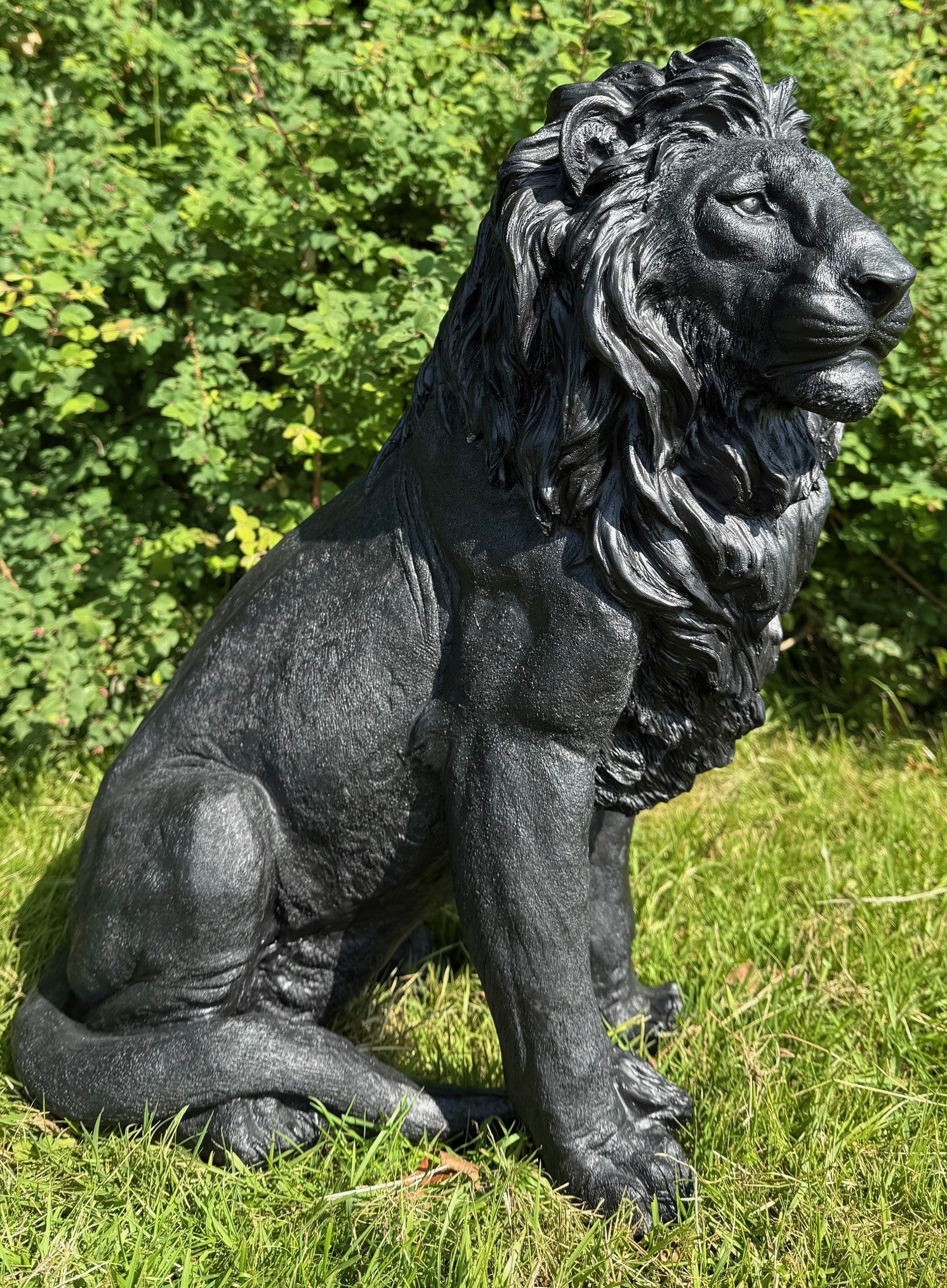 Løve figur 1