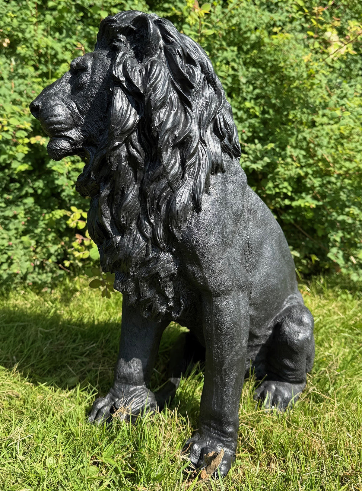 Løve figur 5