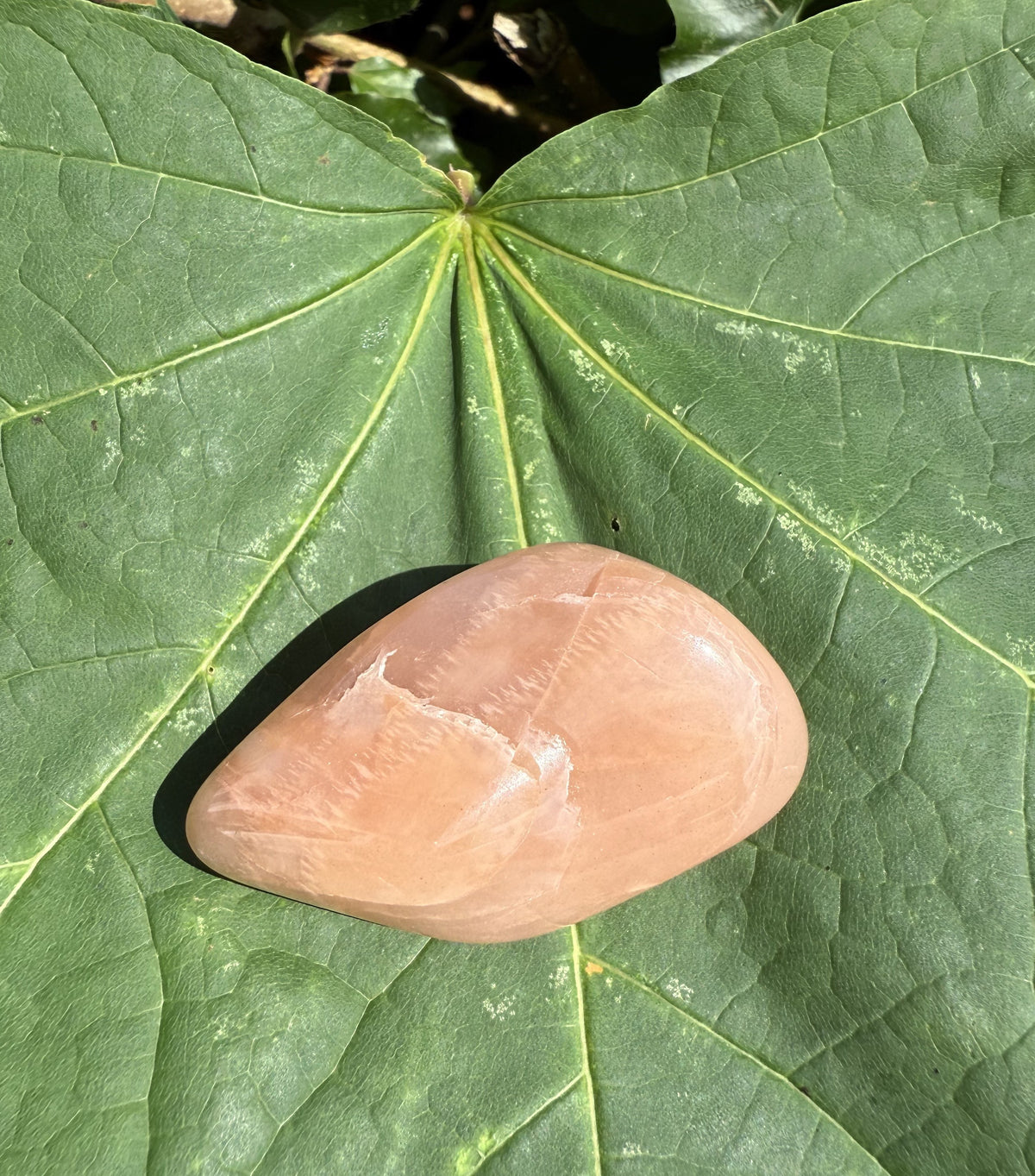 Månesten 1