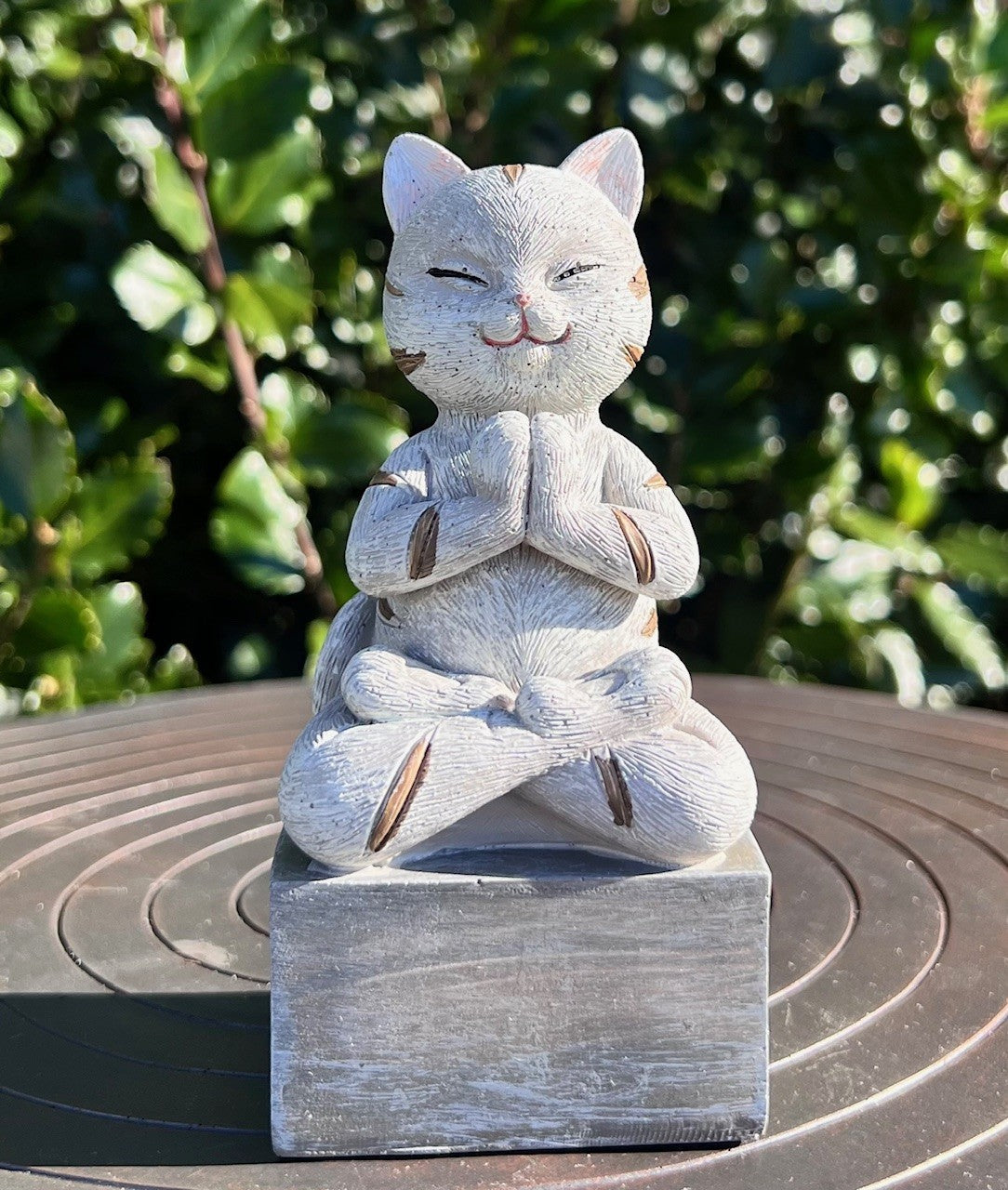Mediterende kat 1