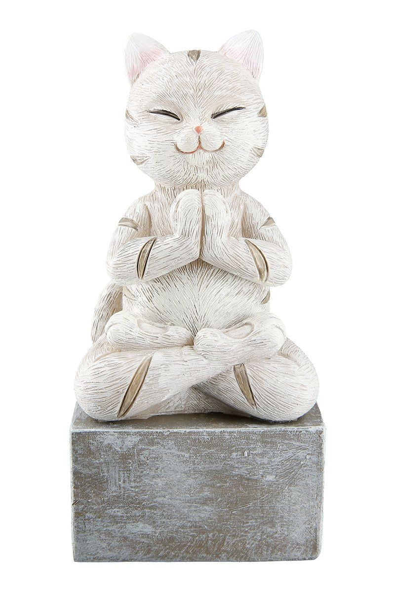 Mediterende kat 5