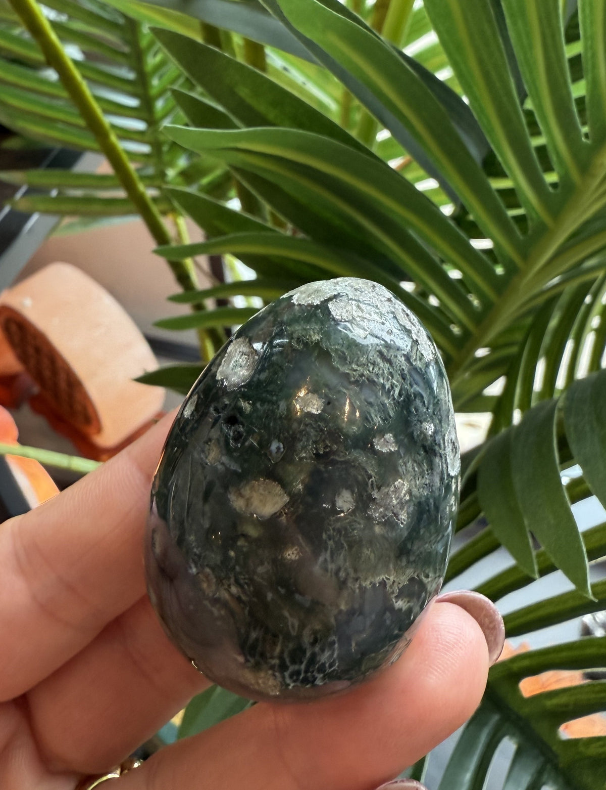 Mosagat æg 4.8 cm 2