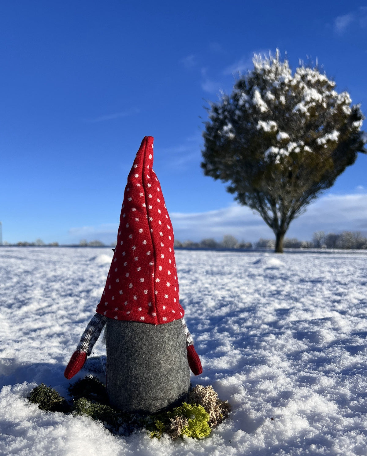 Nisse HoHoHo 2
