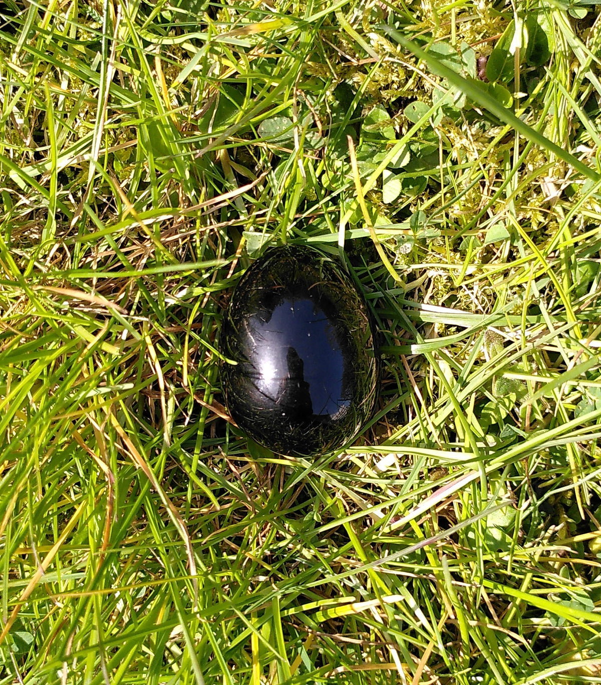Obsidian æg 4.8 cm