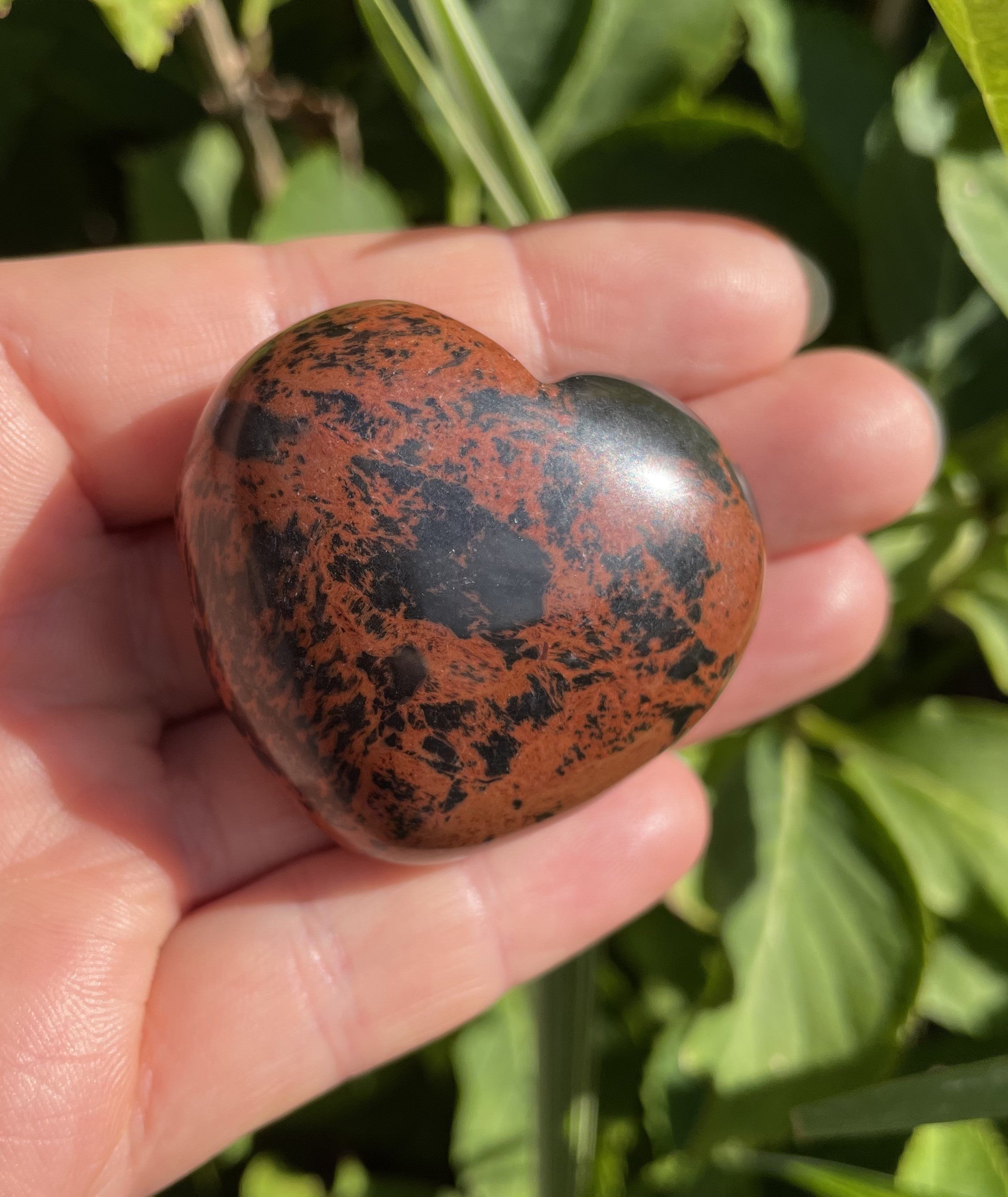 Obsidian mahogni hjerte 2