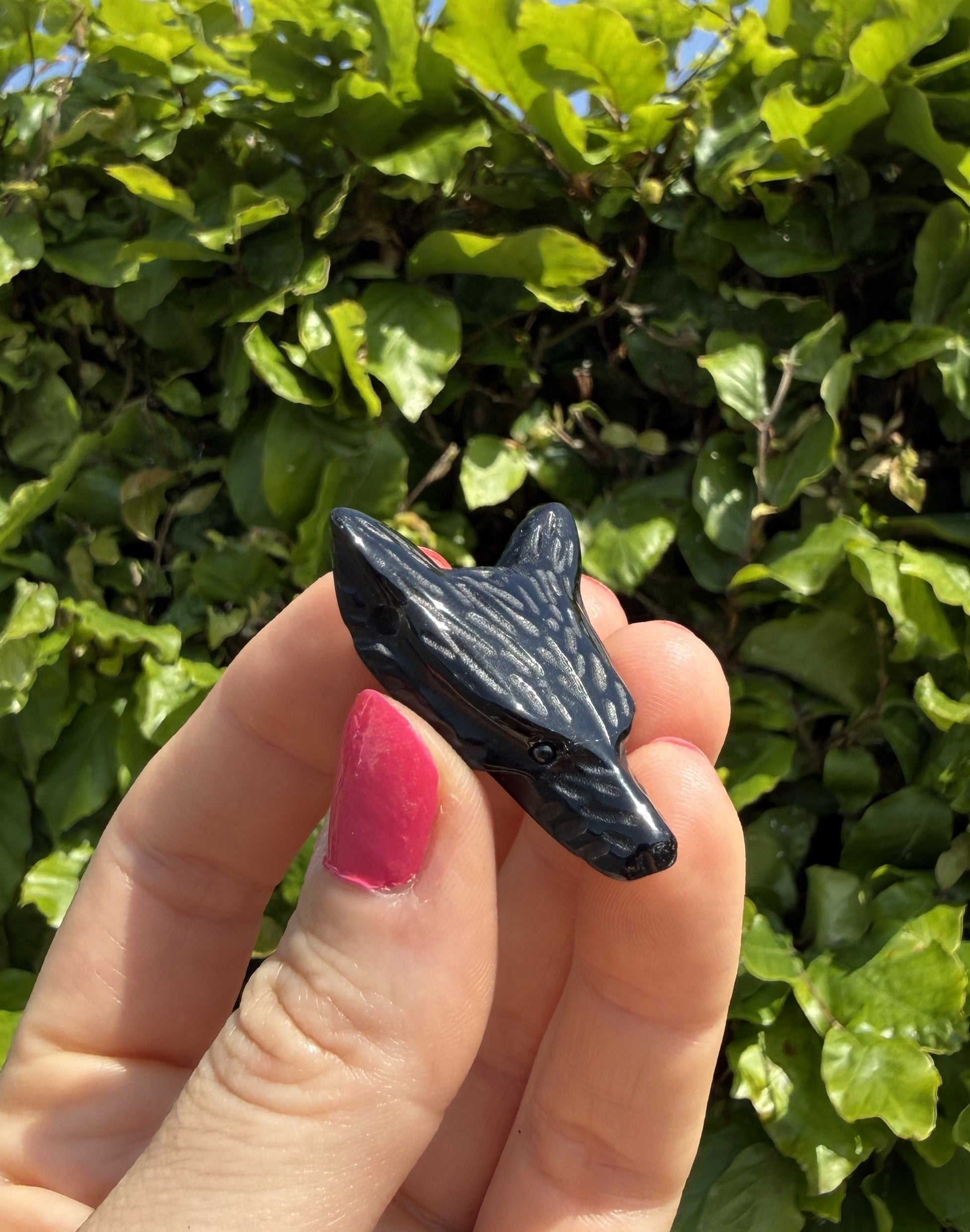 Obsidian sort - Ulv 3