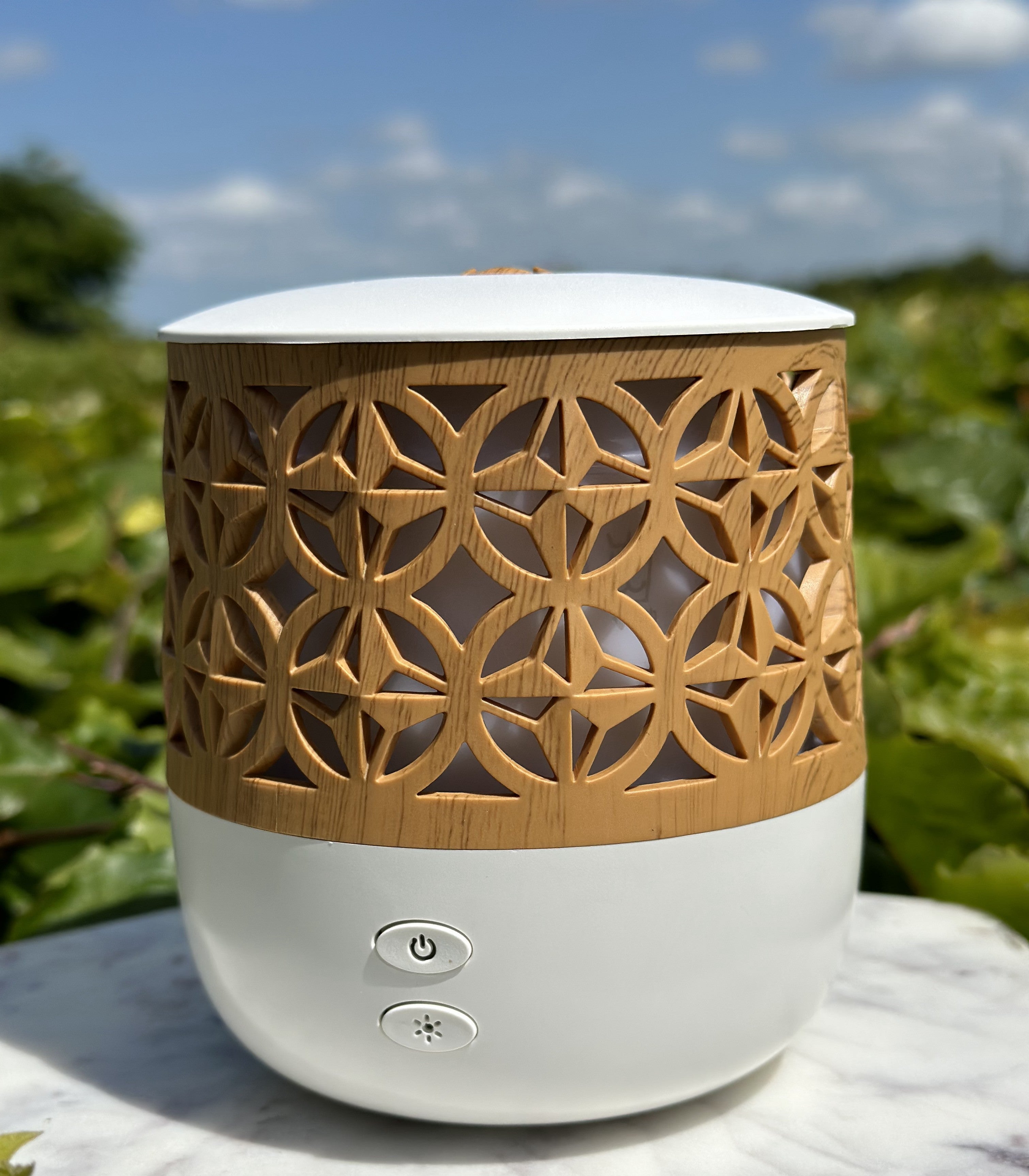 Olie diffuser med usb 1