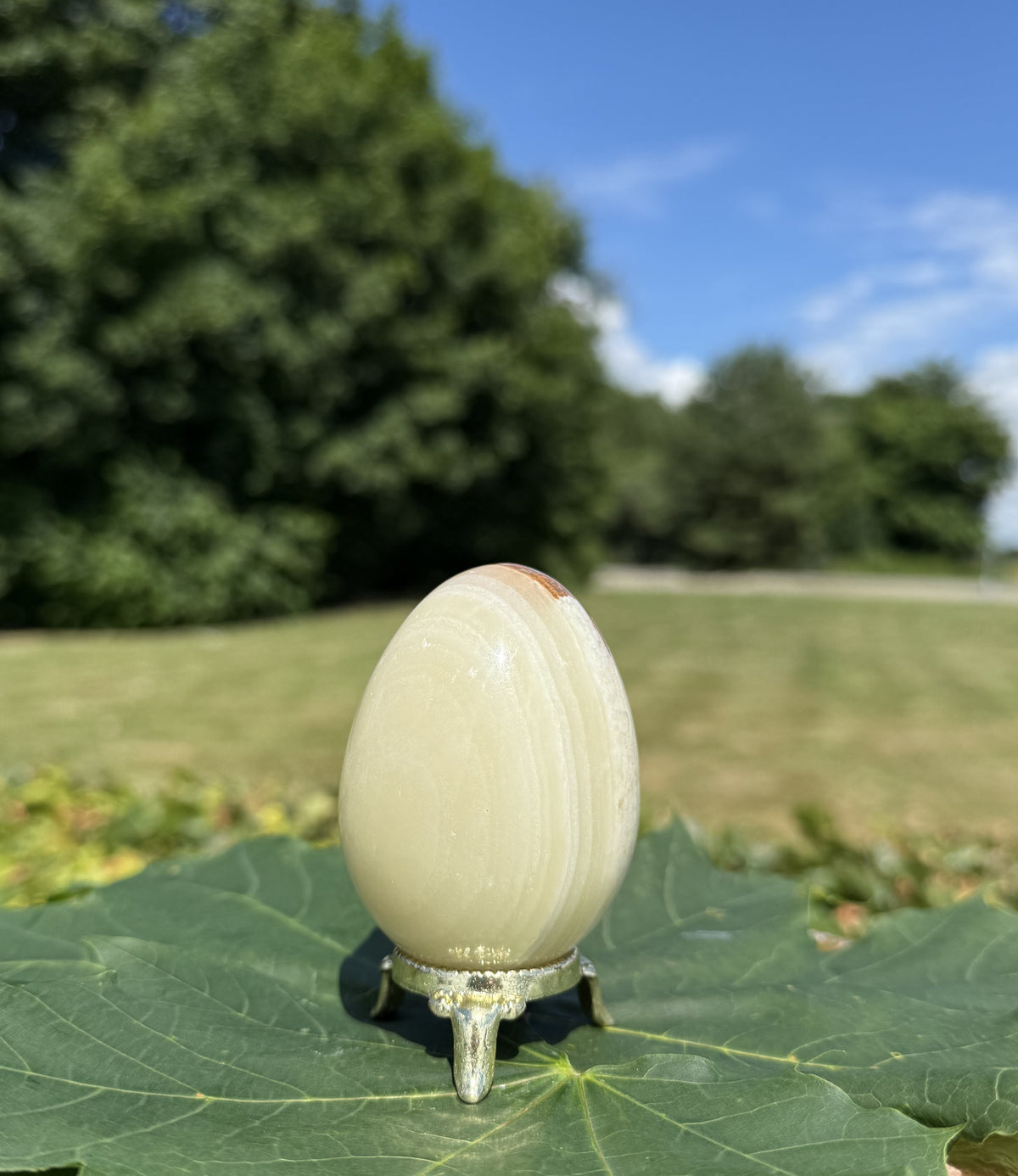Onyx æg 2
