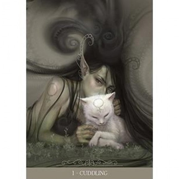 Orakelkort Fantasy Cats Oracle af Paolo Barbieri 3
