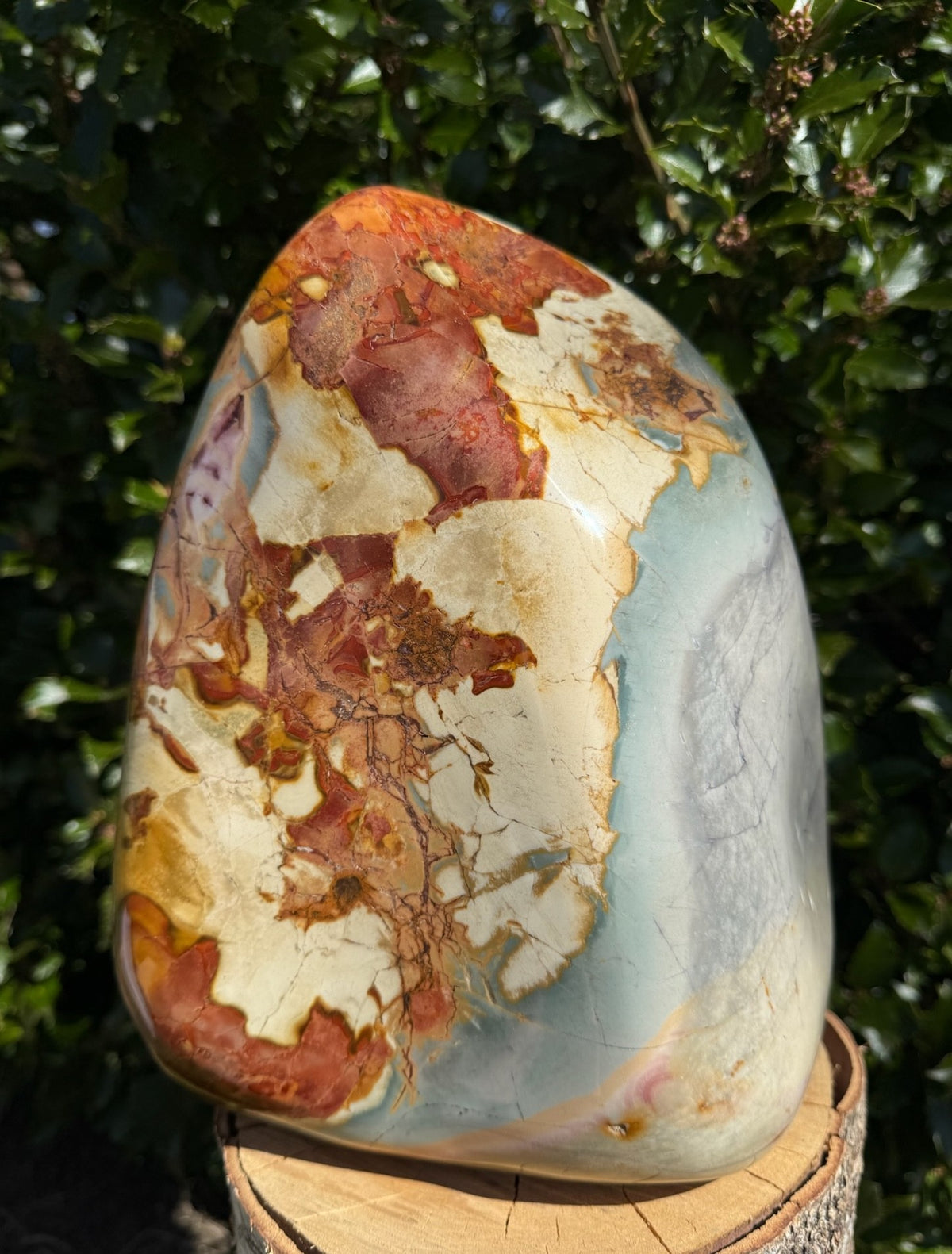 Polychrome jaspis freeform 1