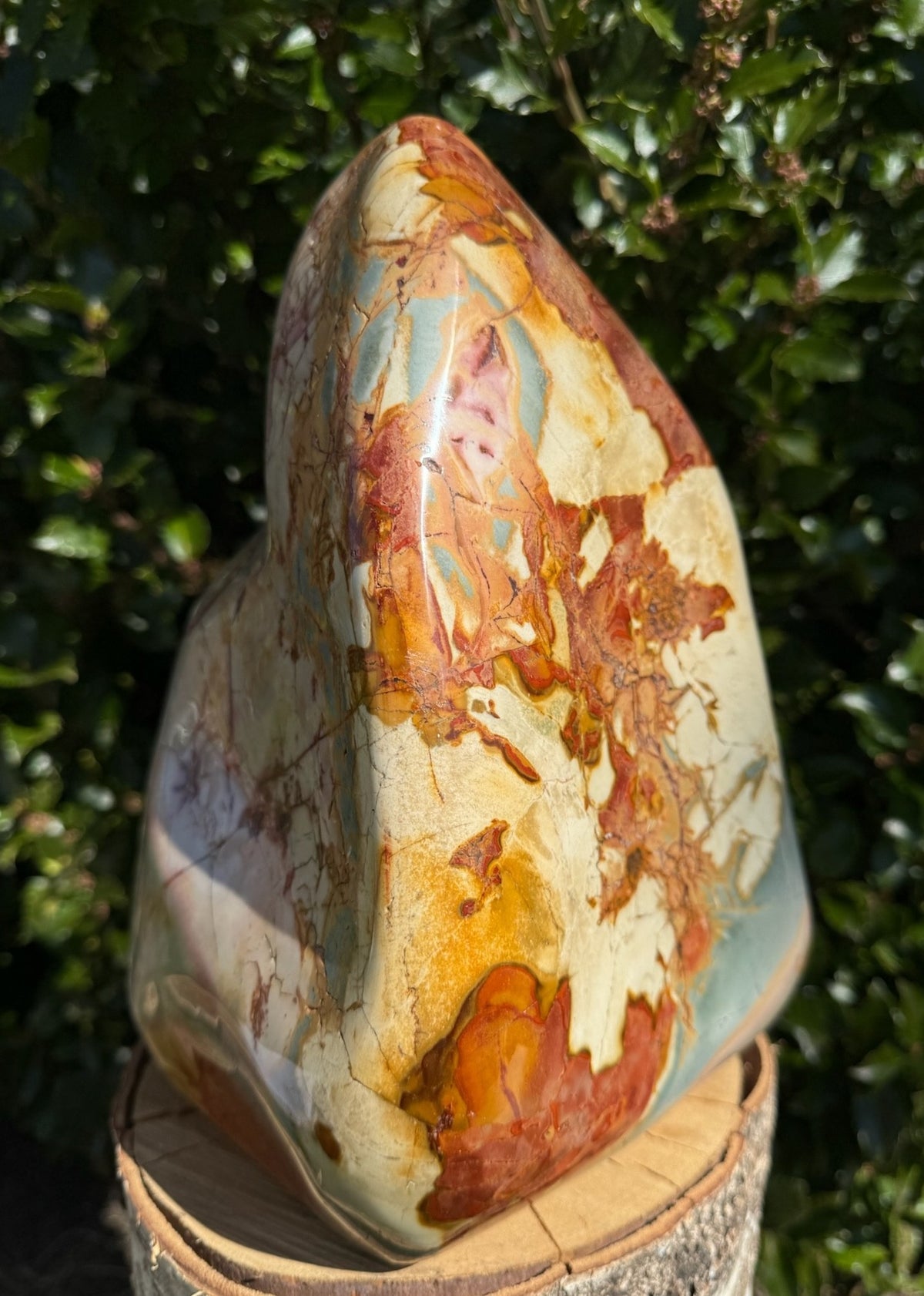 Polychrome jaspis freeform 2