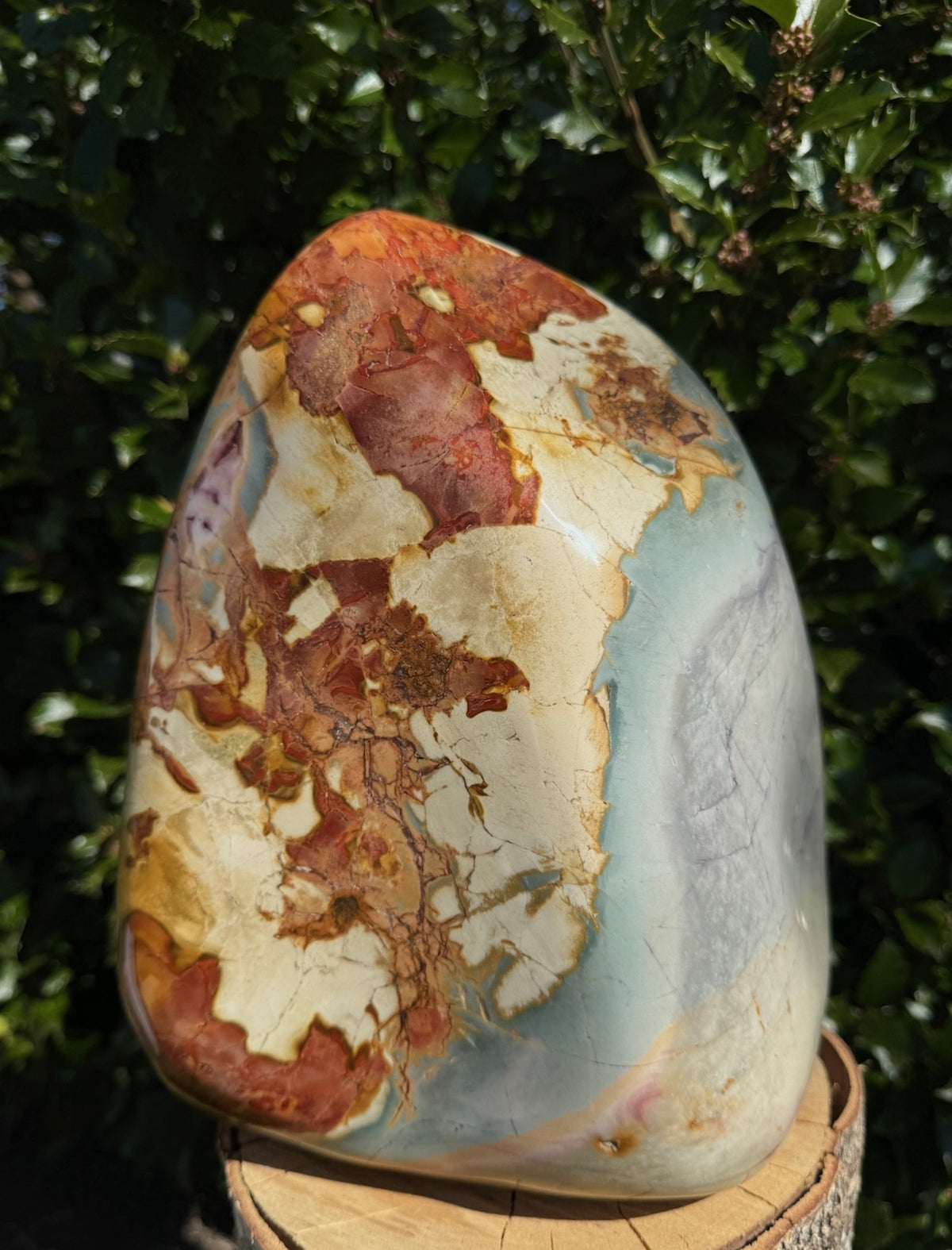 Polychrome jaspis freeform 5