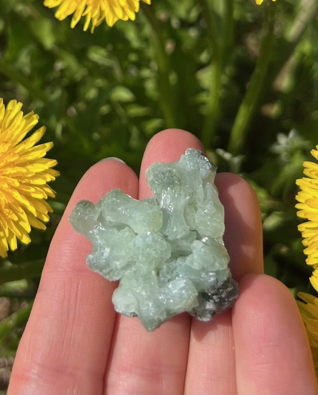 Prehnit S 1