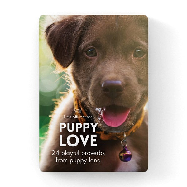 Puppy Love 1
