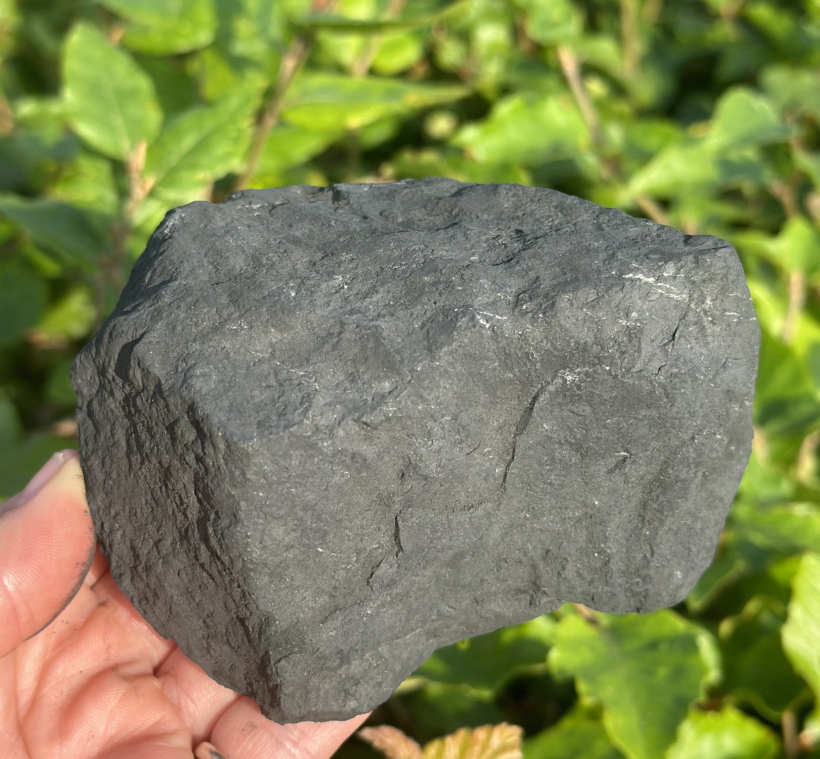 Rå shungit 800 - 900 g
