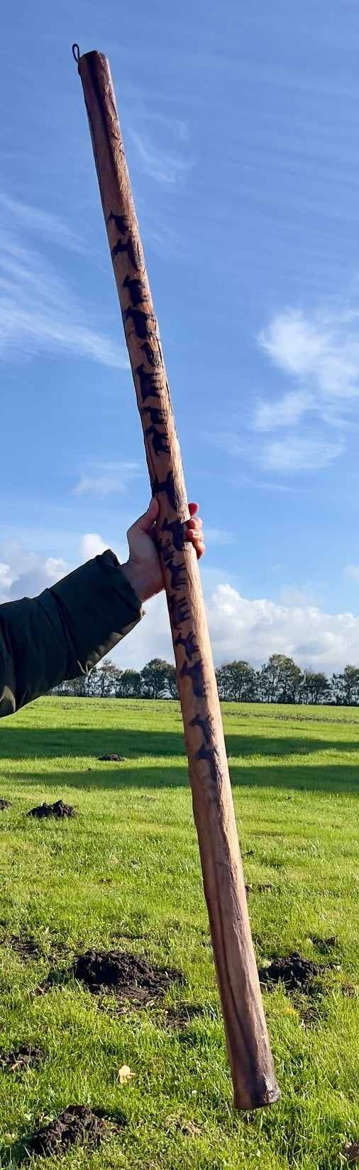 Regnstav - 150 cm 1