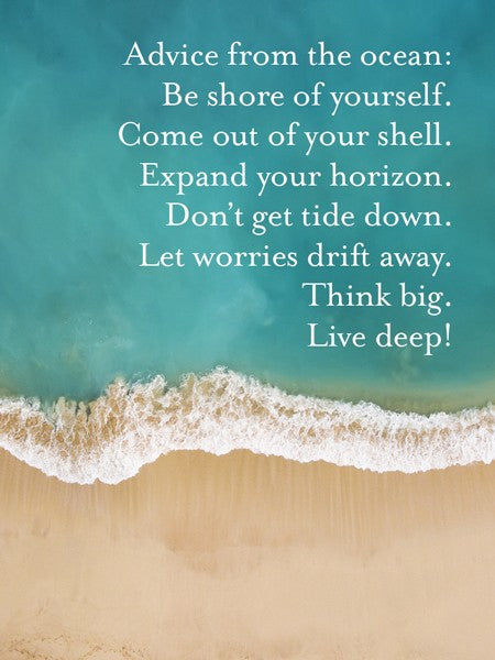 Seas The Day 3