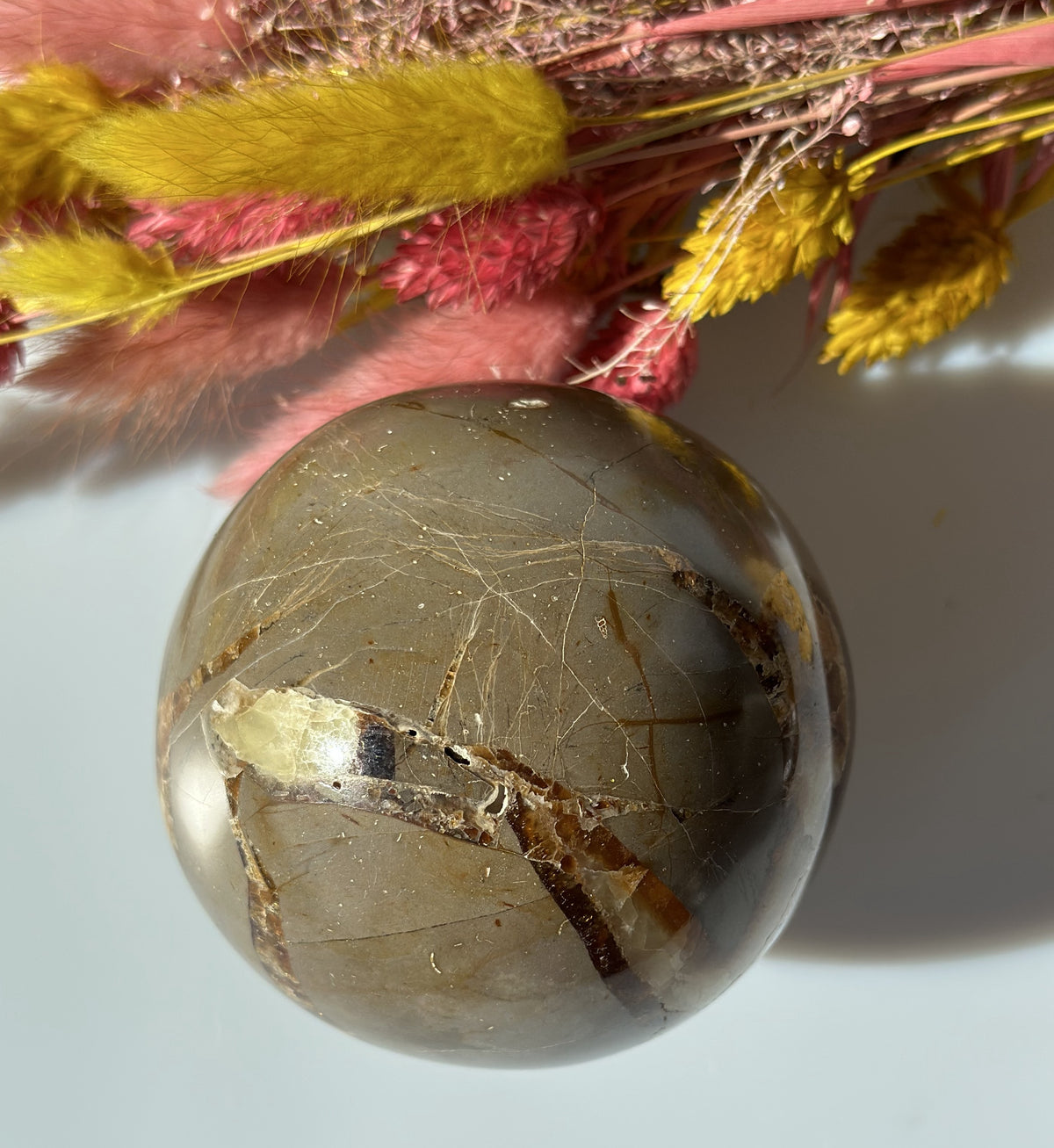 Septarie kugle 7 - 8 cm 2