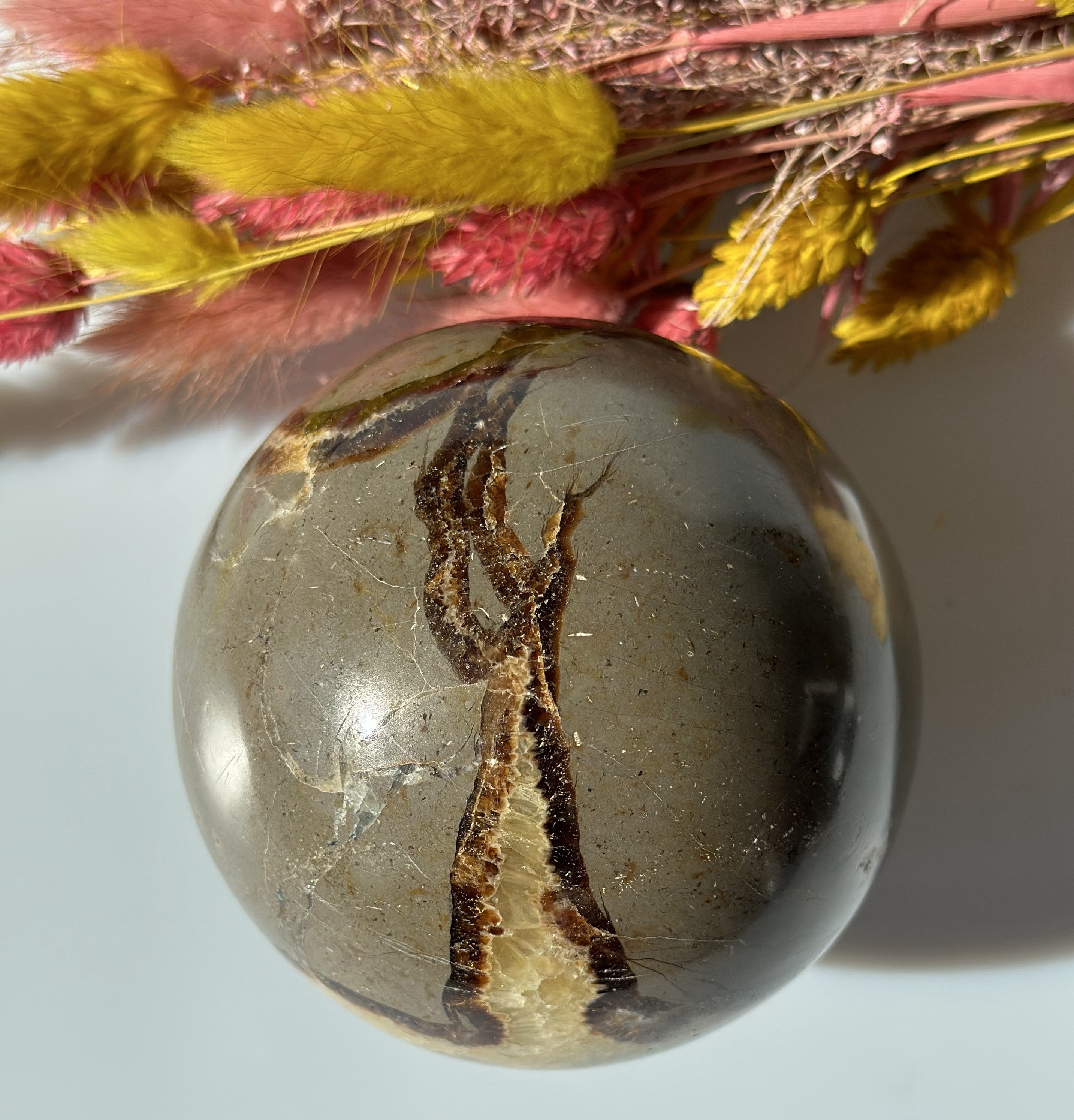 Septarie kugle 8 - 9 cm 2