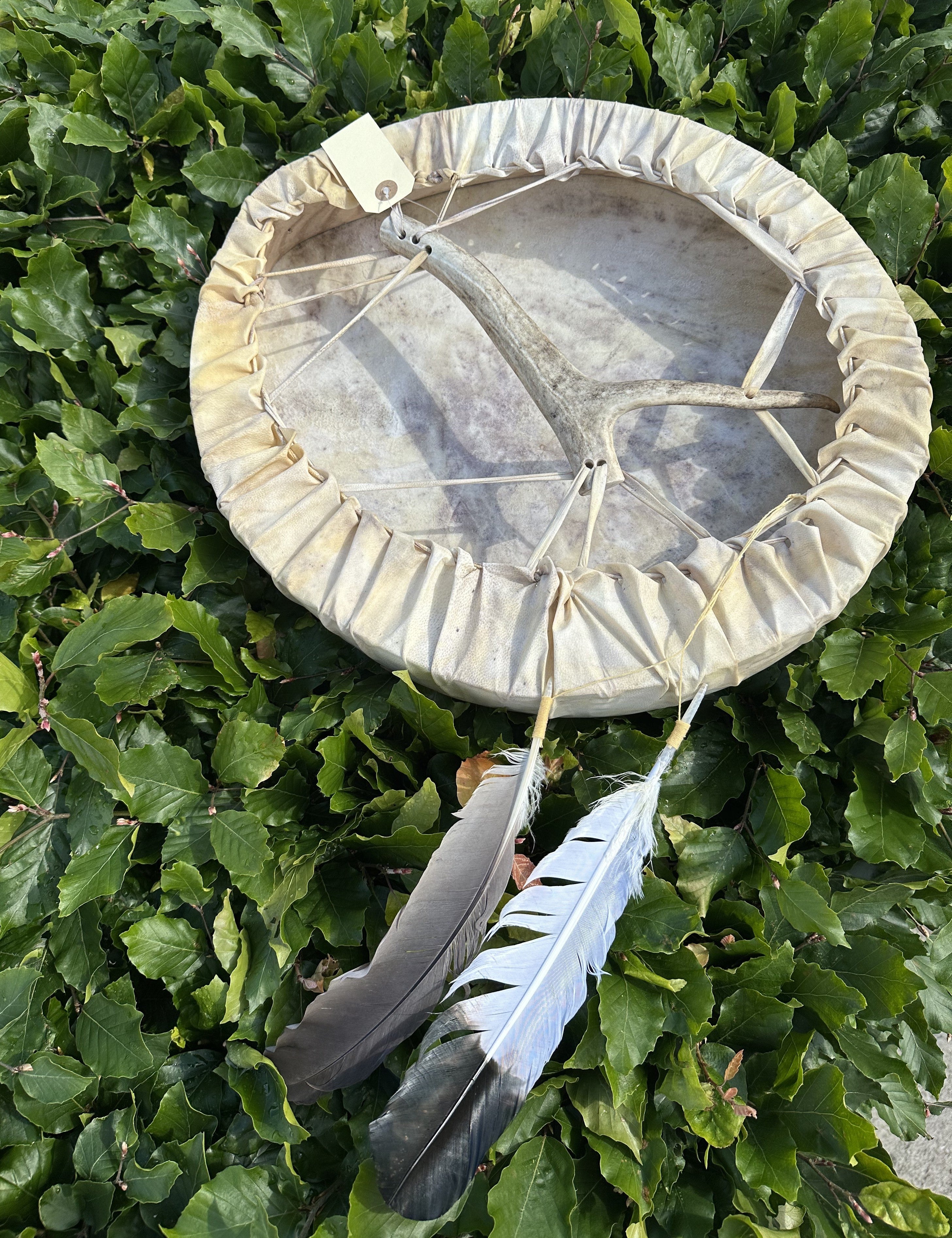 Shaman tromme oval 3