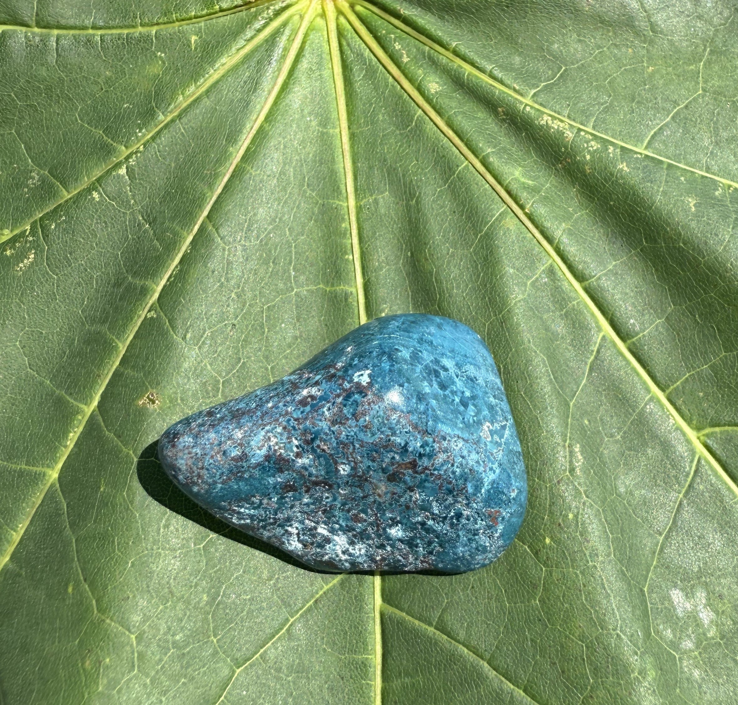 Shattuckite L 1