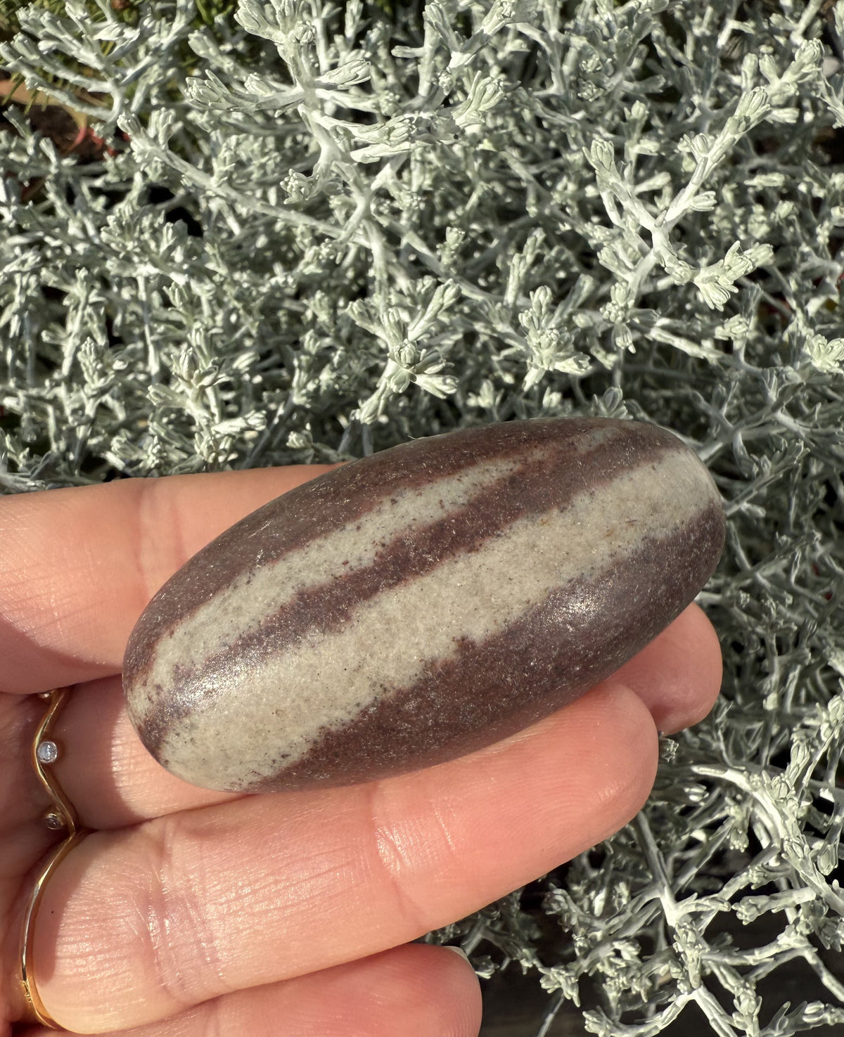 Shiva Lingam sten 5 - 6 cm 1