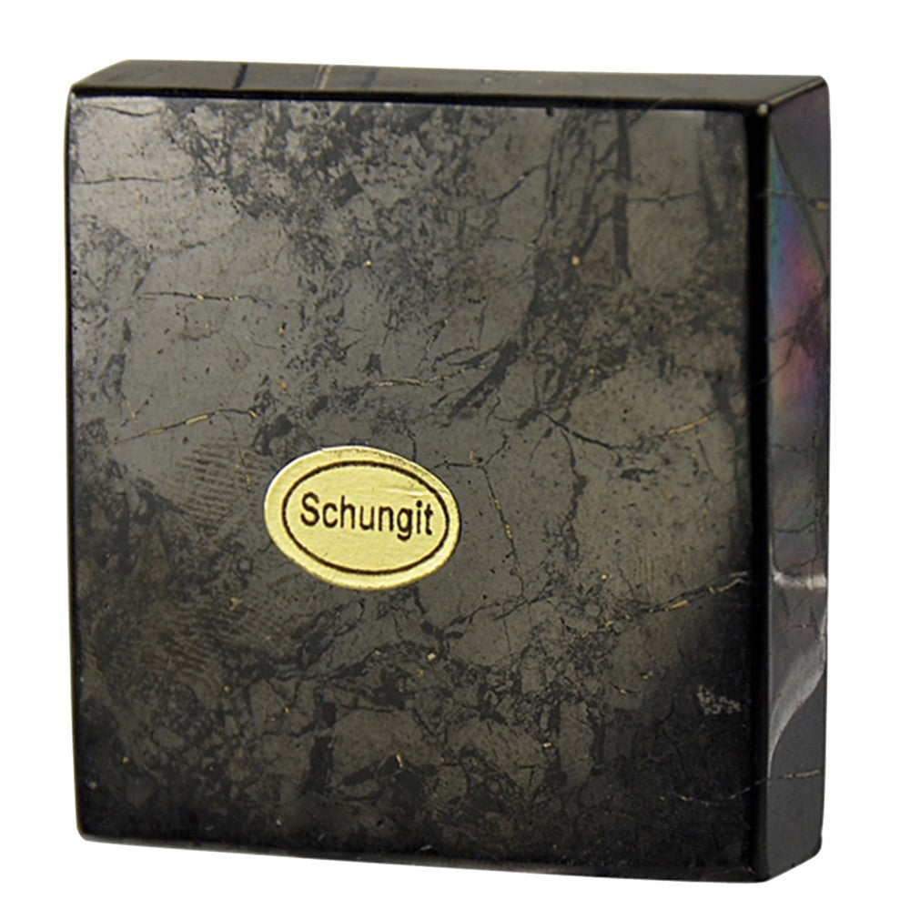 Shungit plade 10 x 10 cm 1