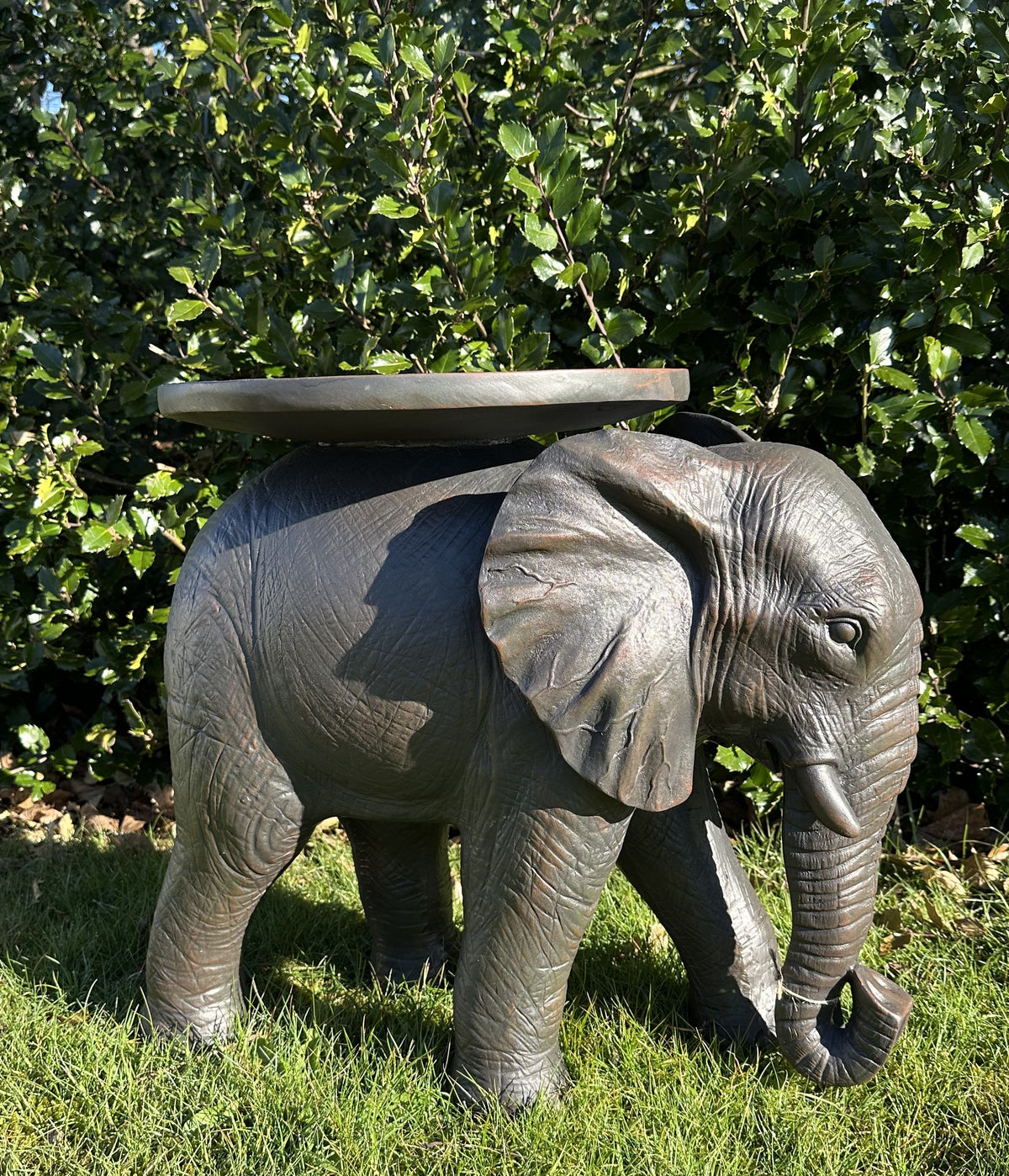 Elefant bord 6
