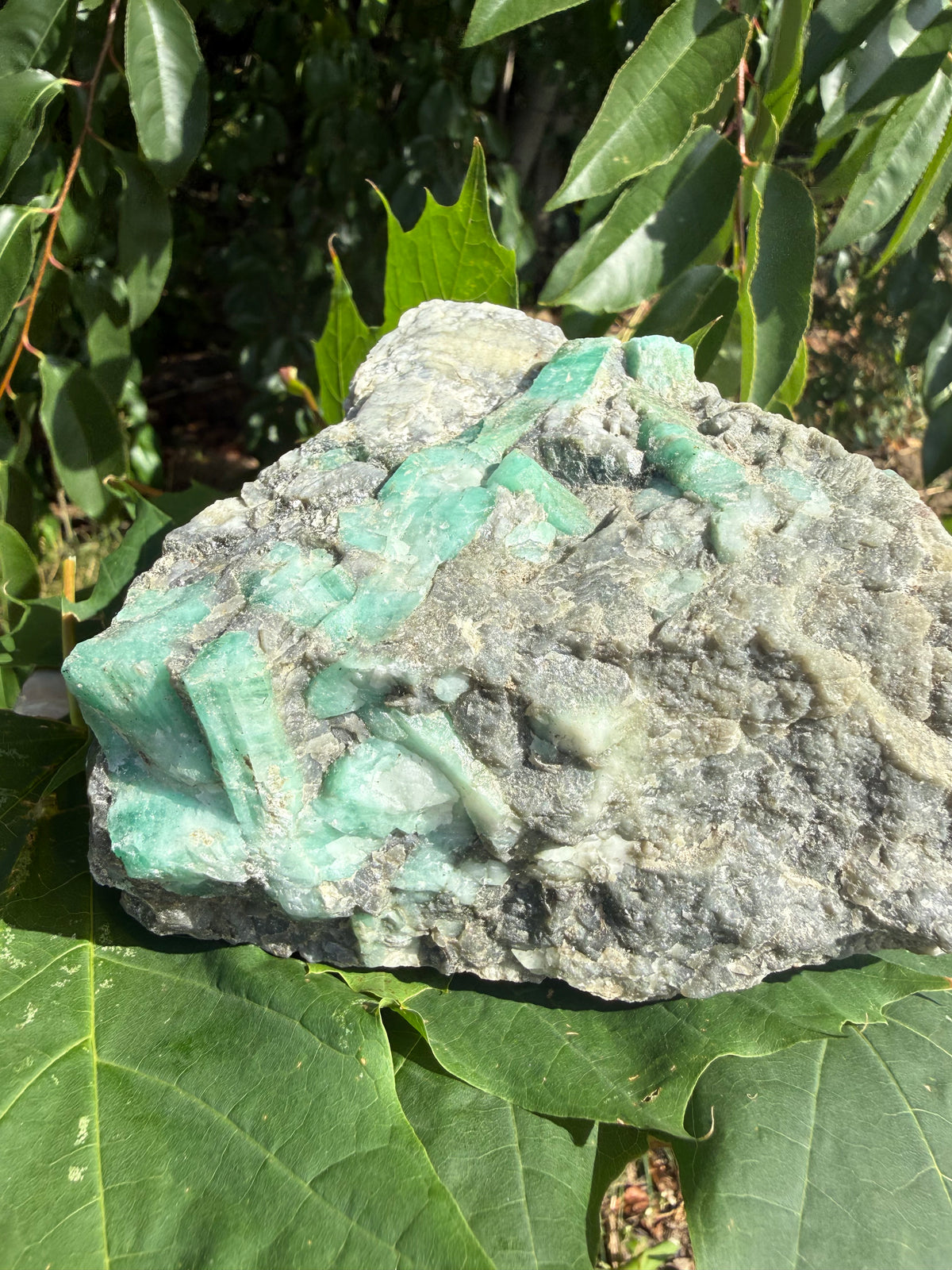 Emerald rå (3)