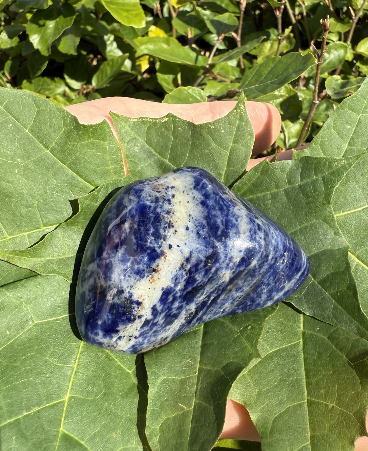 Sodalit Jumbo 1