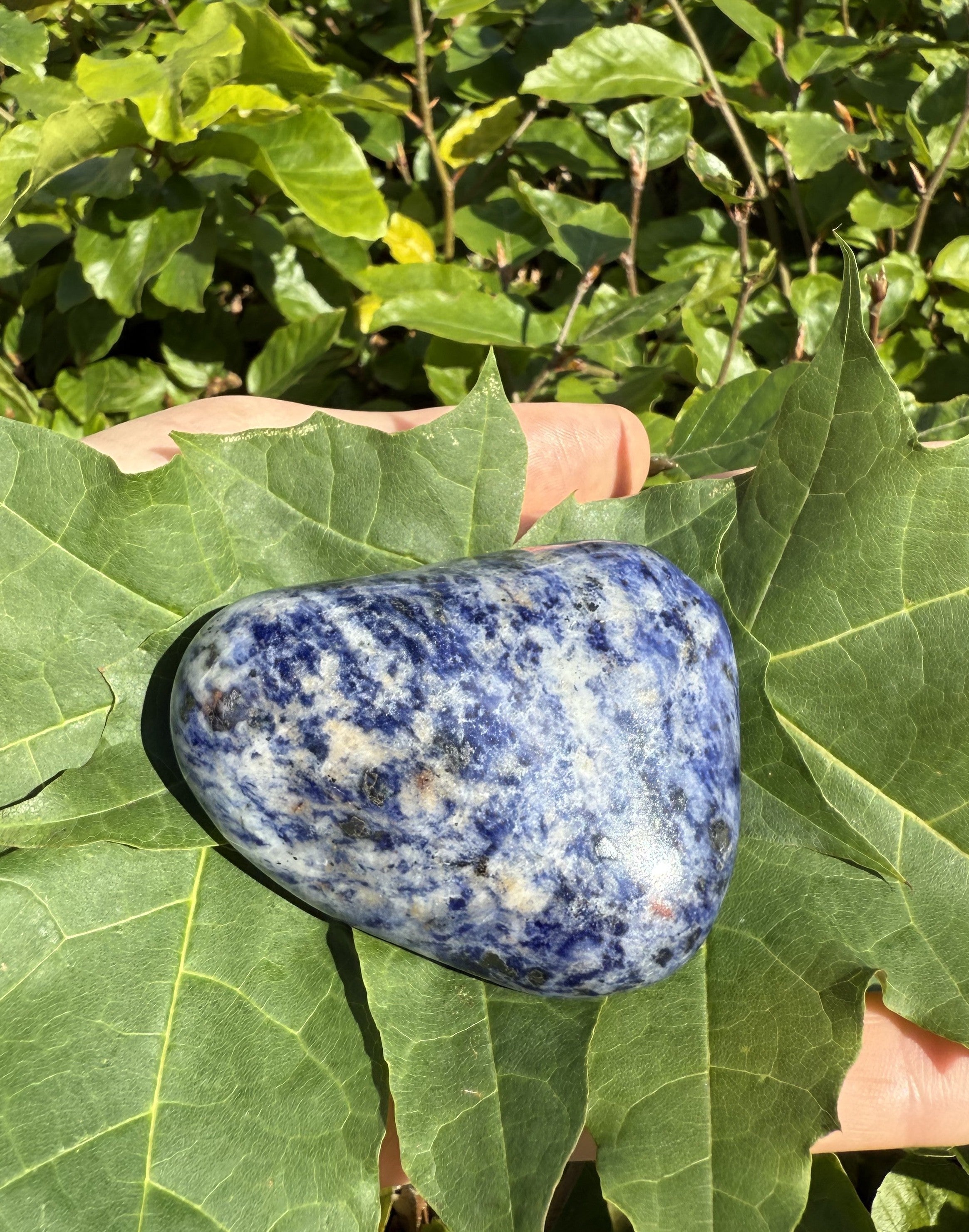 Sodalit Jumbo 2