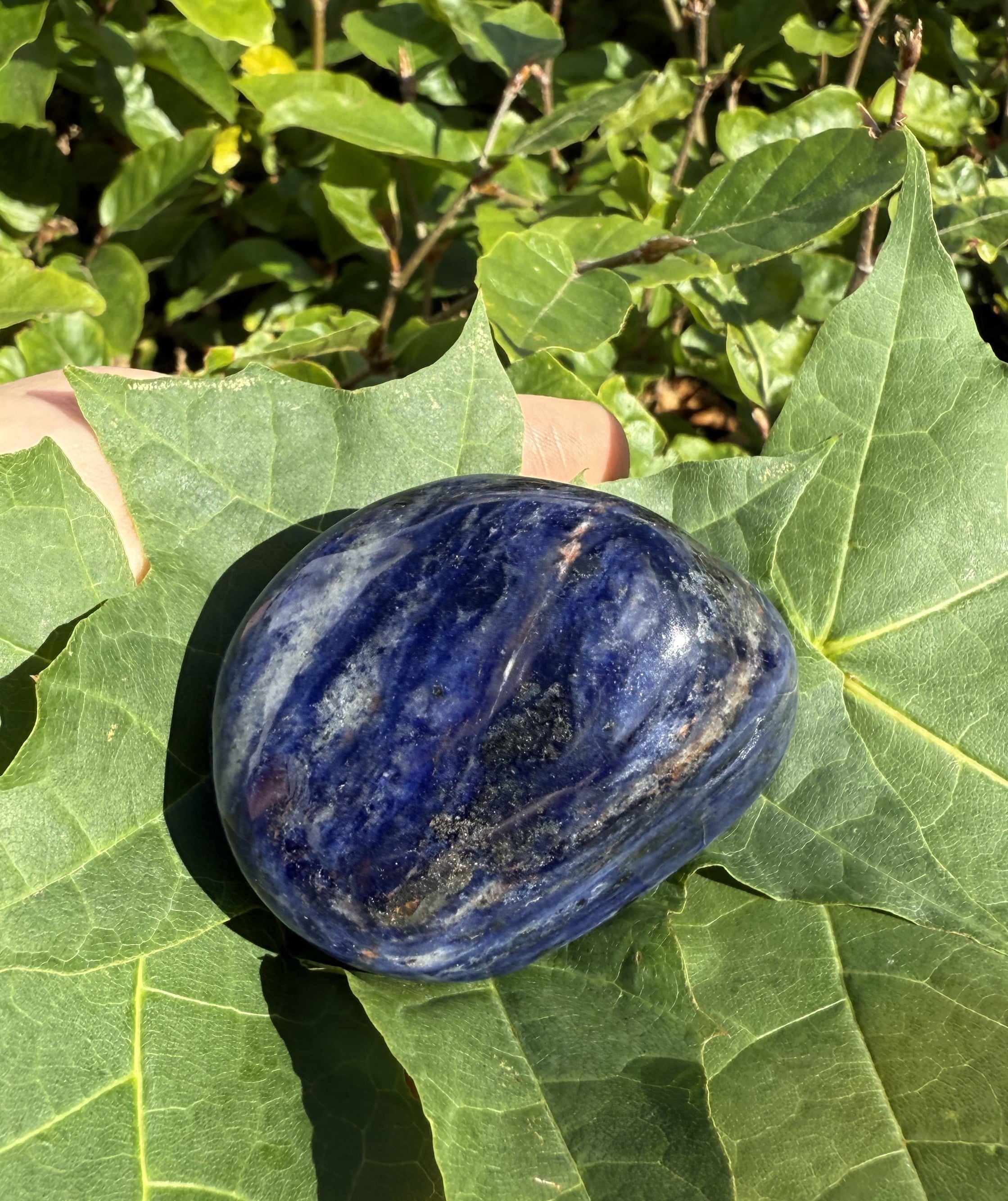 Sodalit jumbo 1