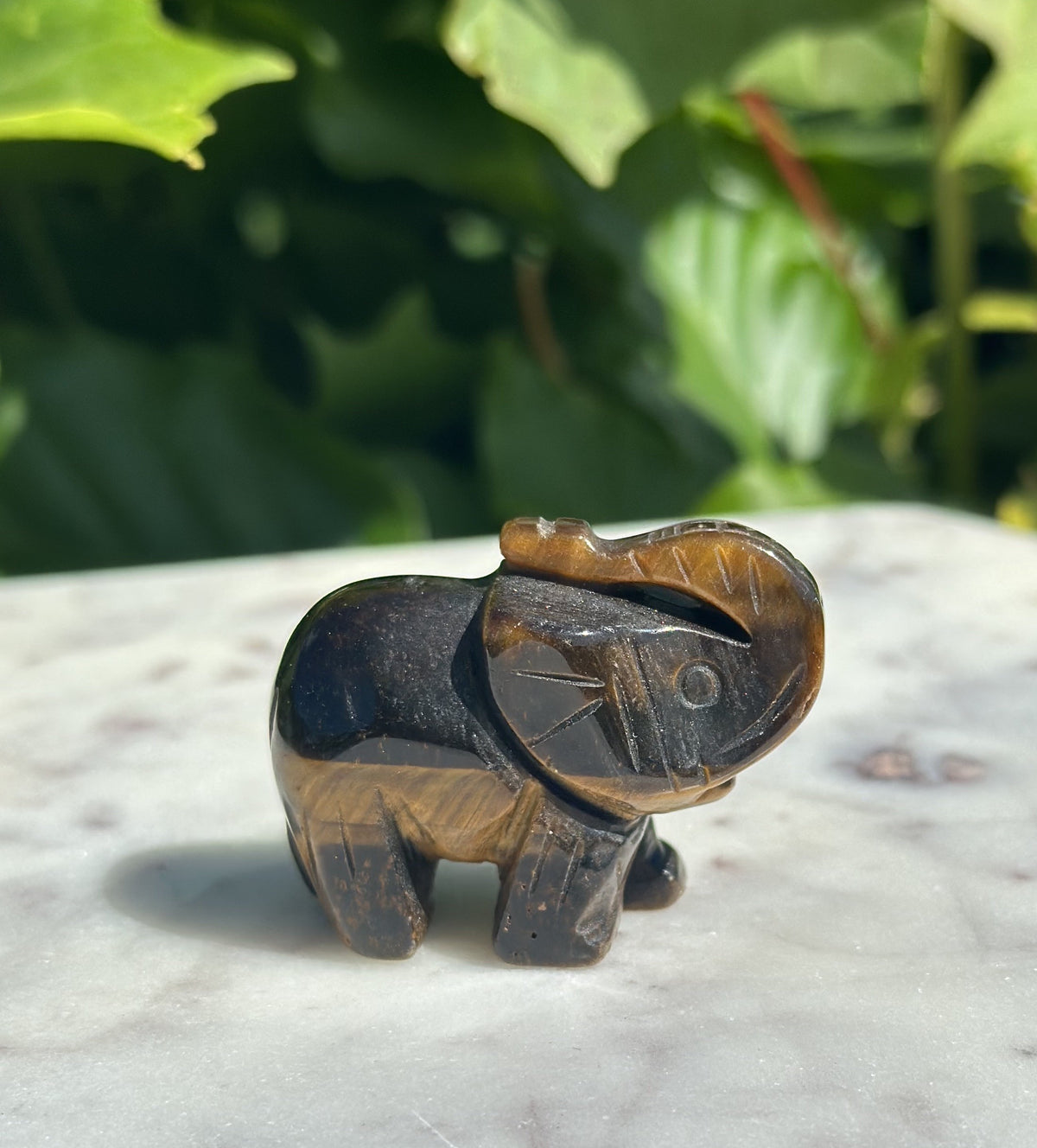 Tigerøje elefant 2
