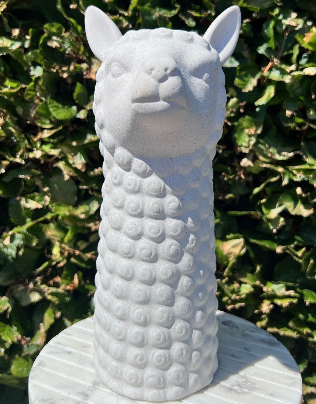 Vase - Alpaka 2