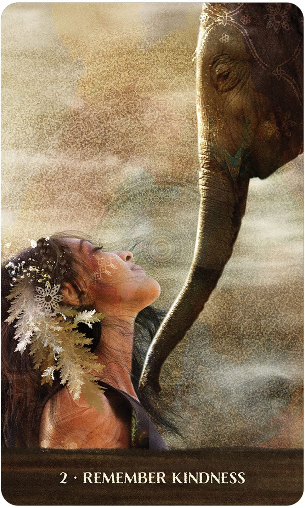 Wild Woman Rising - Anti Sullins 4
