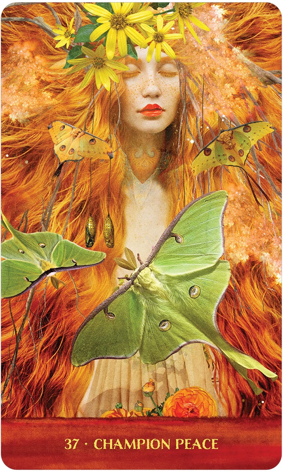 Wild Woman Rising - Anti Sullins 6