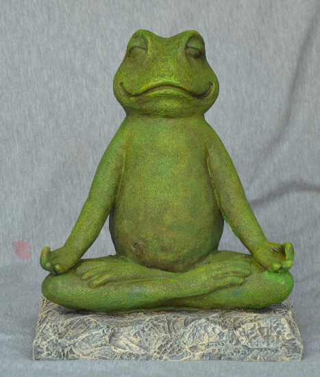 Yoga frø 1