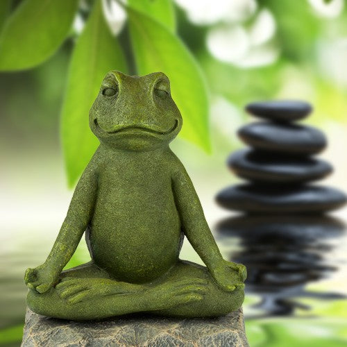 Yoga frø 5