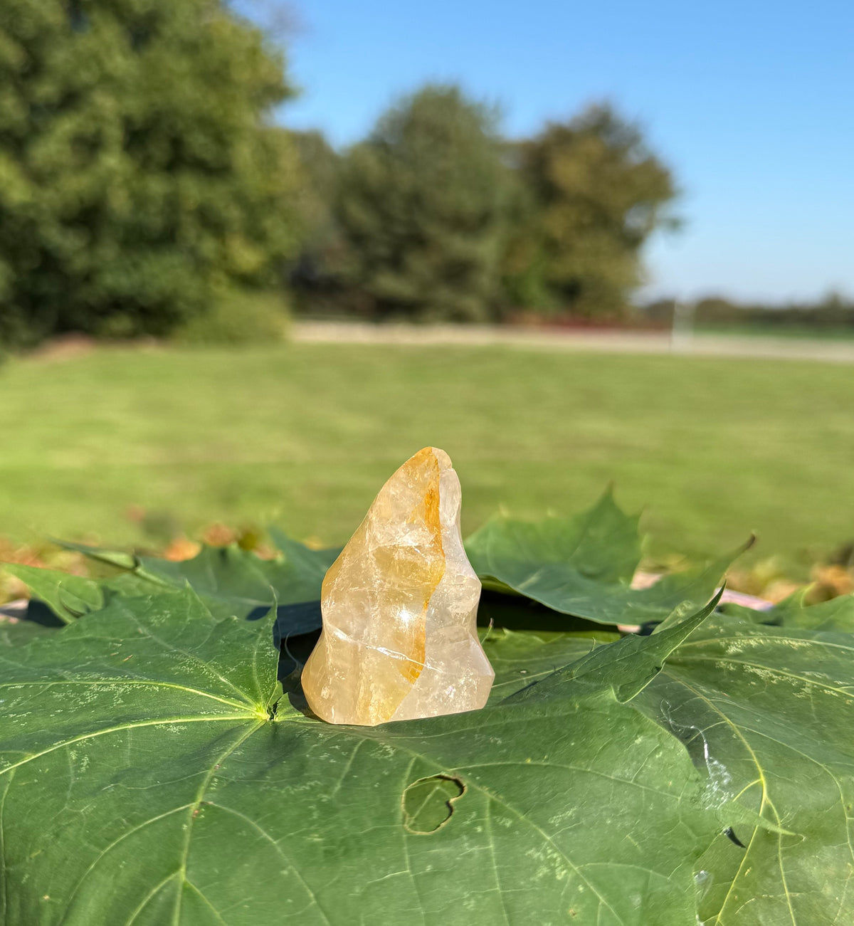 Golden Healer Flamme 4 - 5 cm