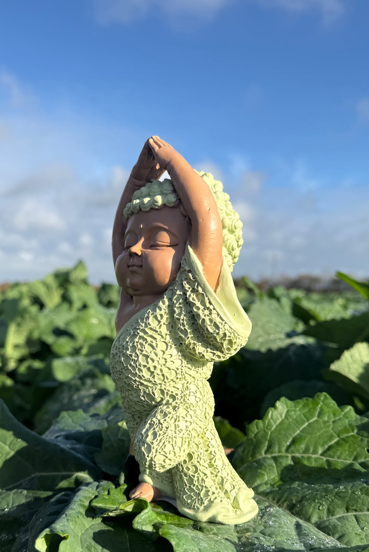 Munk i Vrksasana