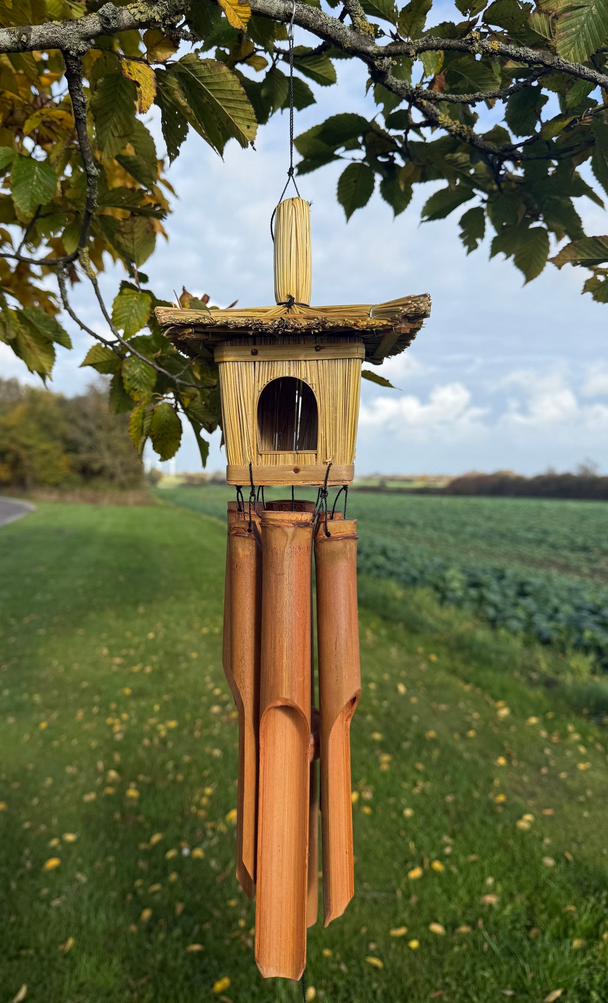 Vindspil med fuglehus