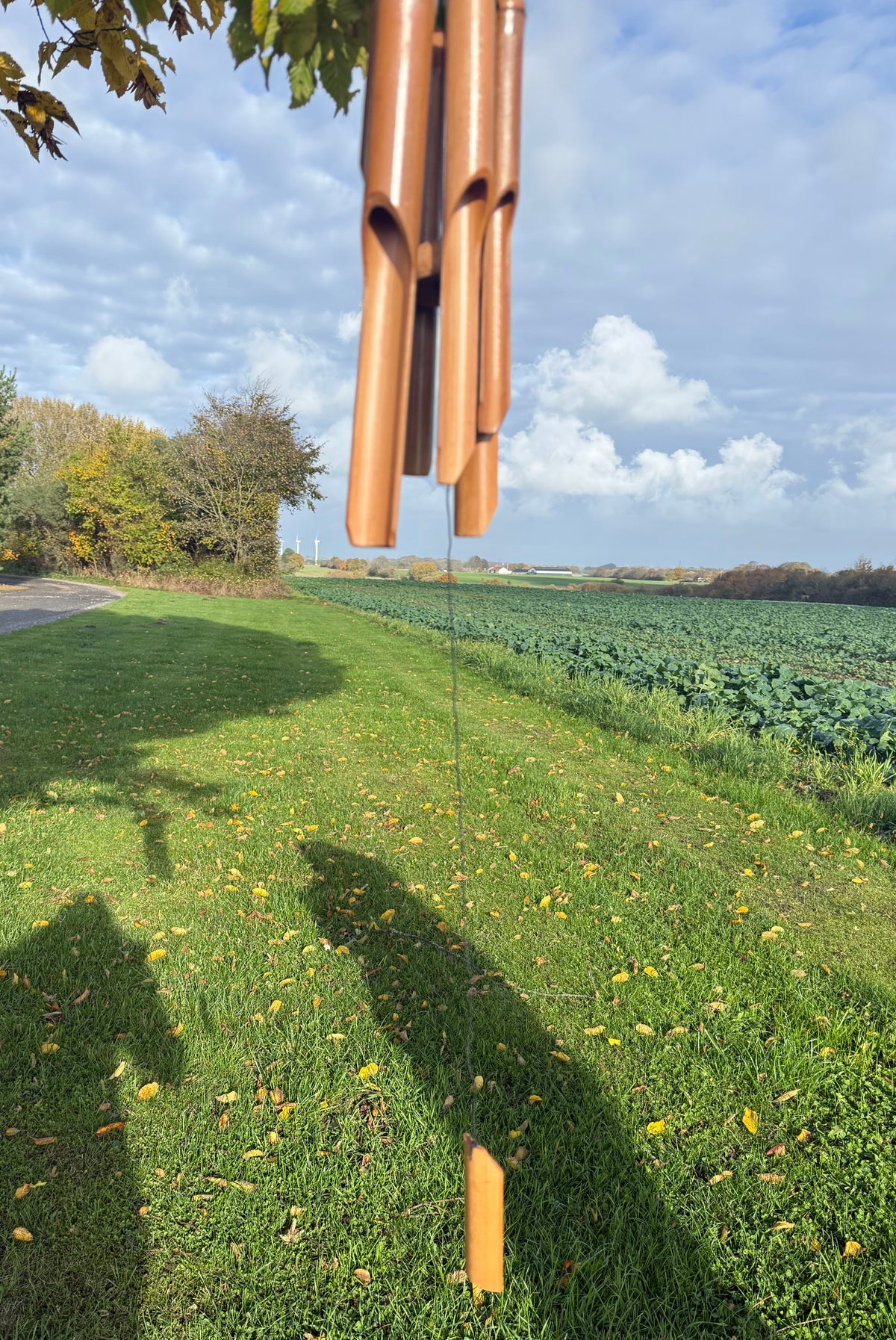 Vindspil med fuglehus