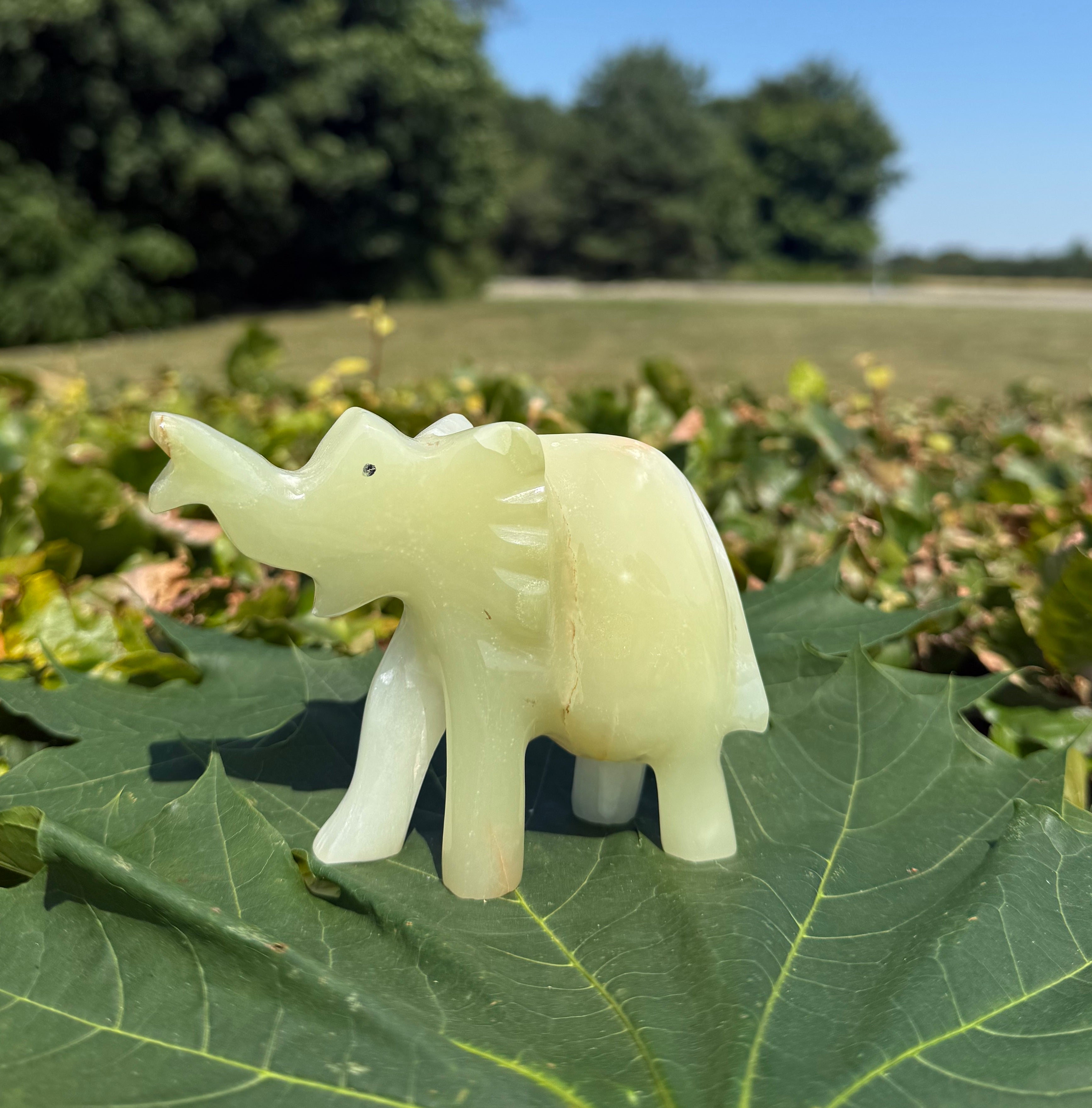 Onyx elefant