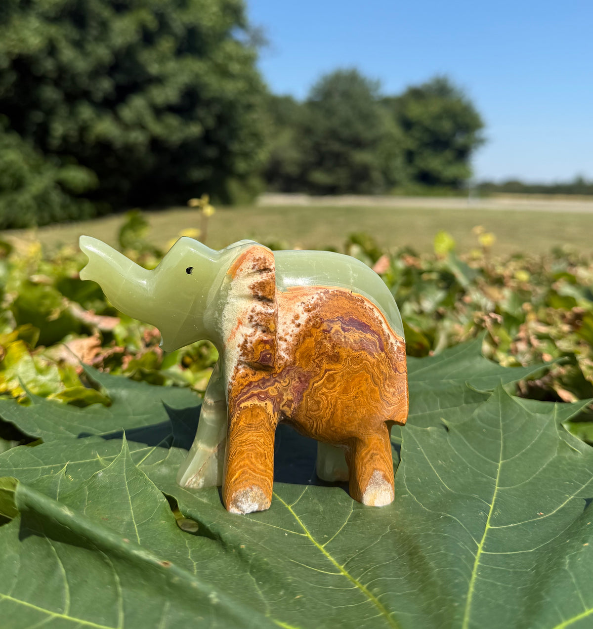 Onyx elefant