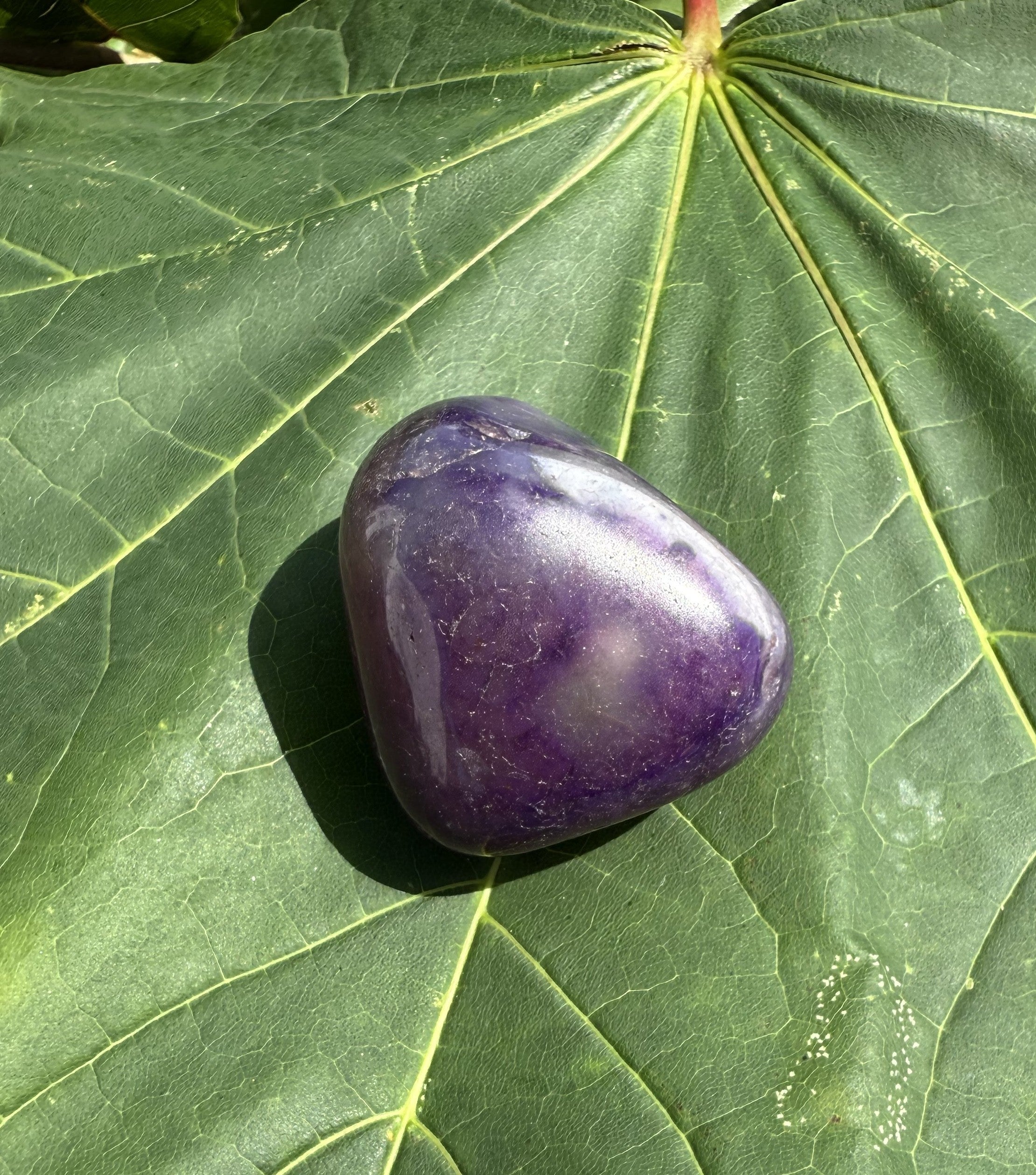 Agat Lilla XXL 1