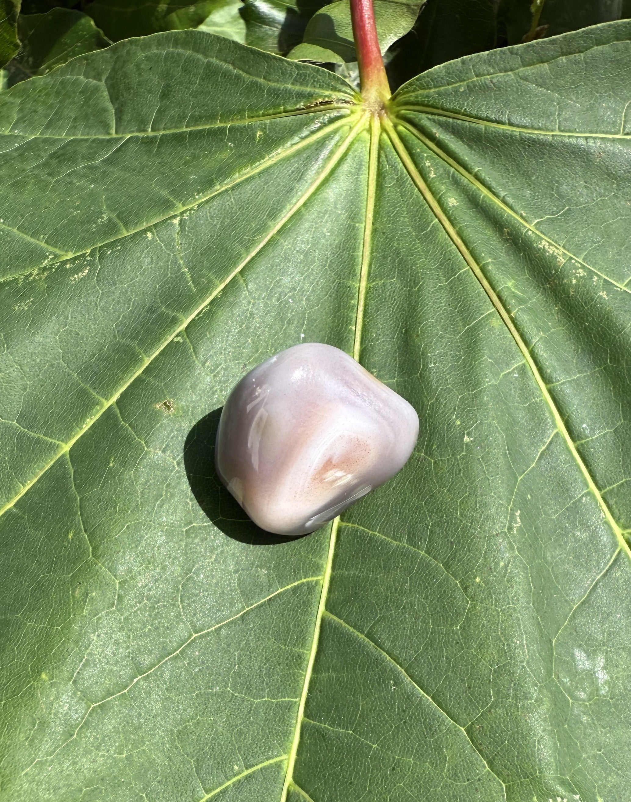 Agat pink Botswana 2