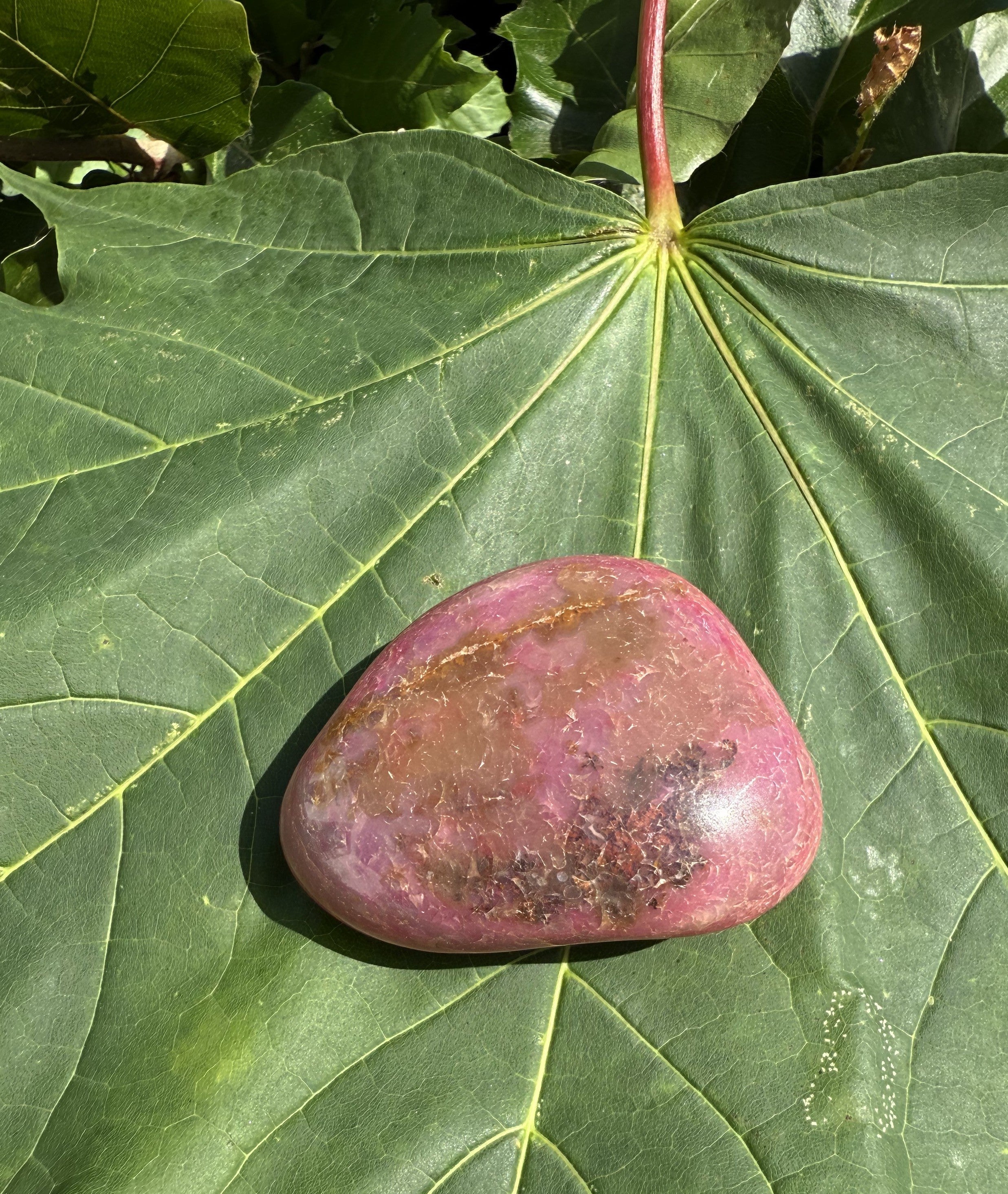Agat Pink lommesten XXL 2
