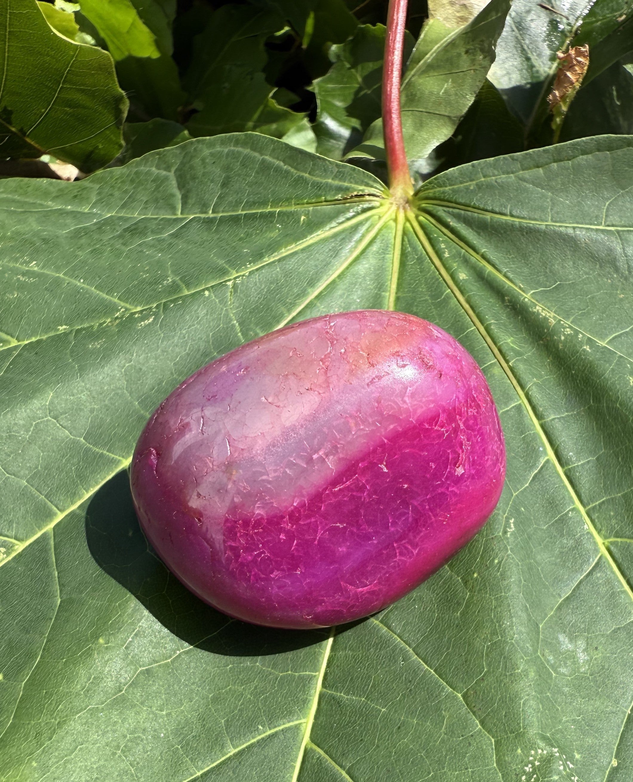 Agat Pink lommesten XXL 4