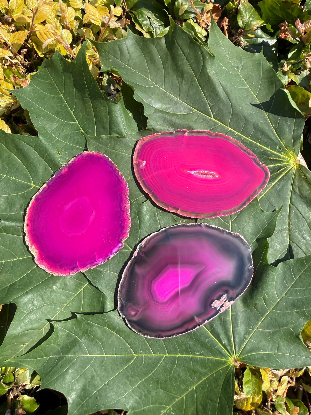 Agat pink - plade